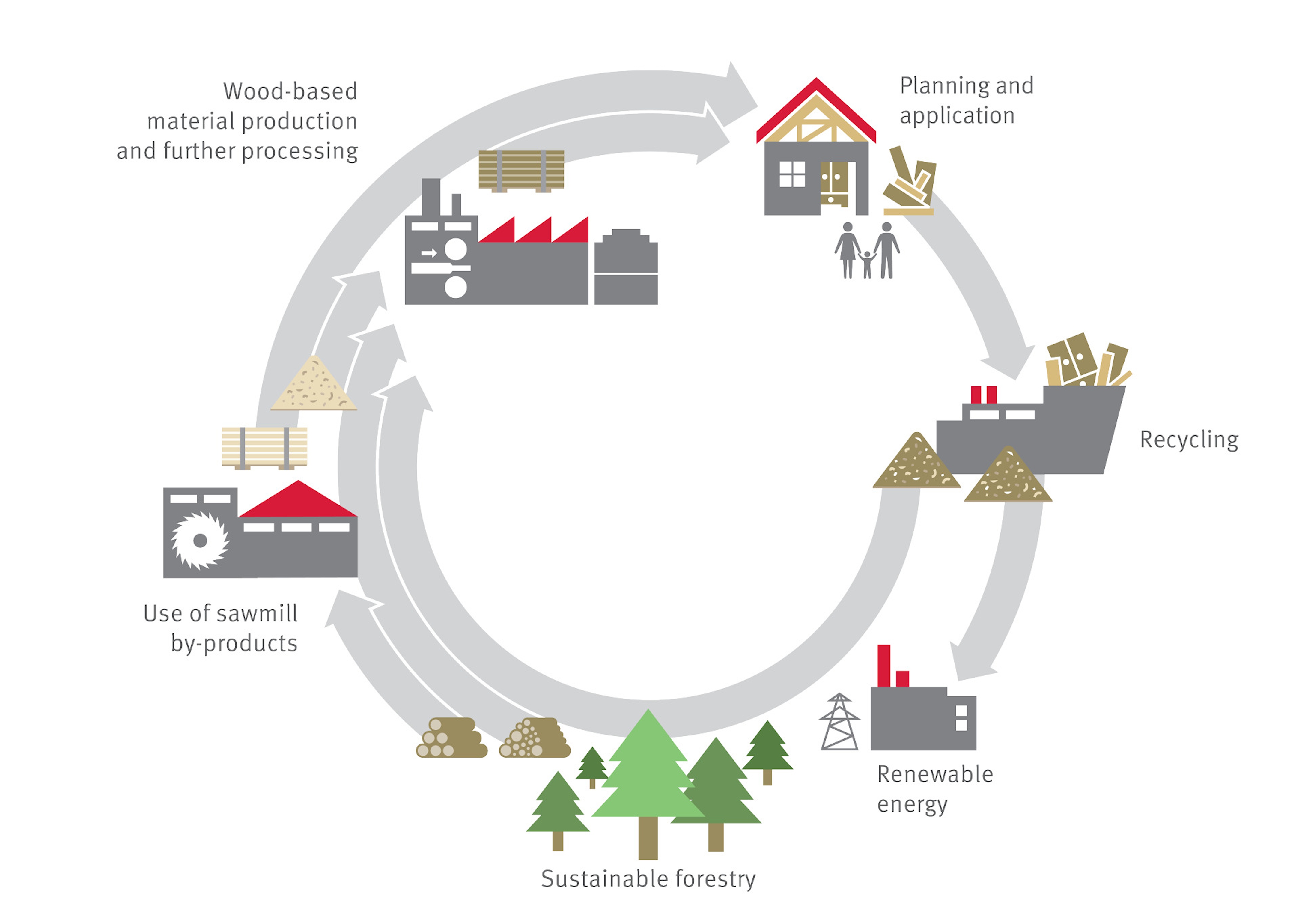 O nosso ciclo ambiental - Da árvore ao produto: um ciclo fechado.