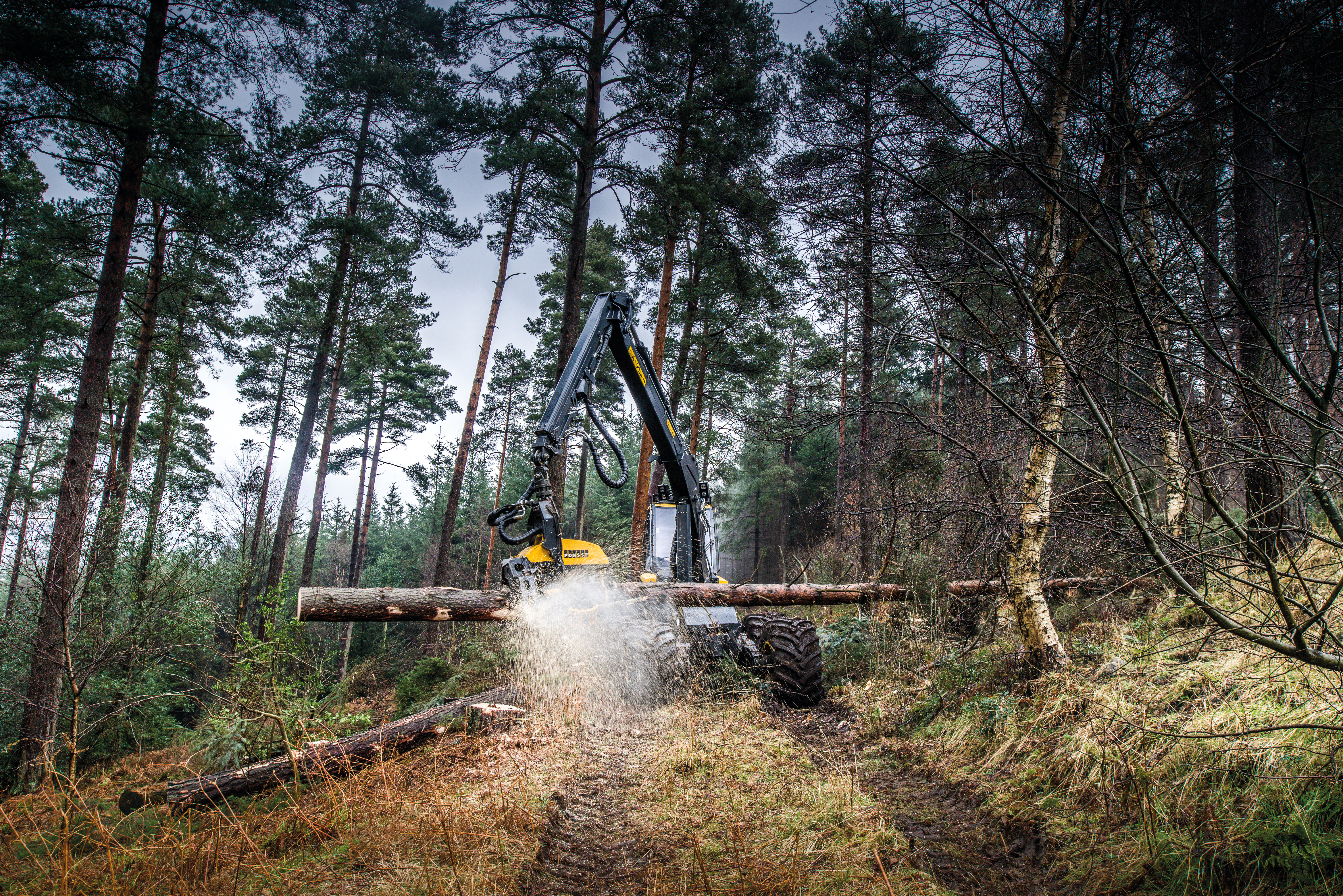 EGGER Forestry Services