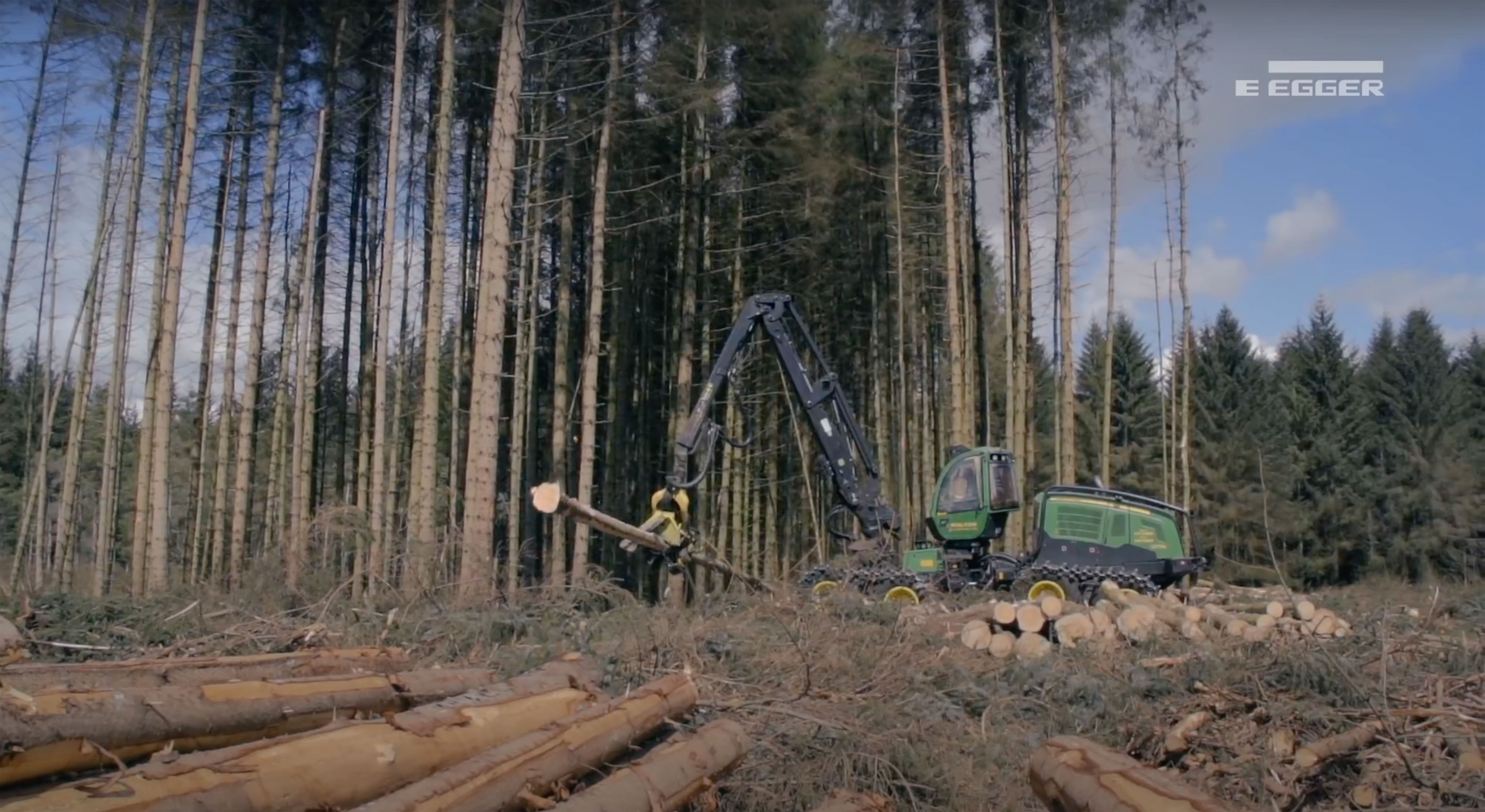 Timber Harvesting Case Study - Whitestone Dipper