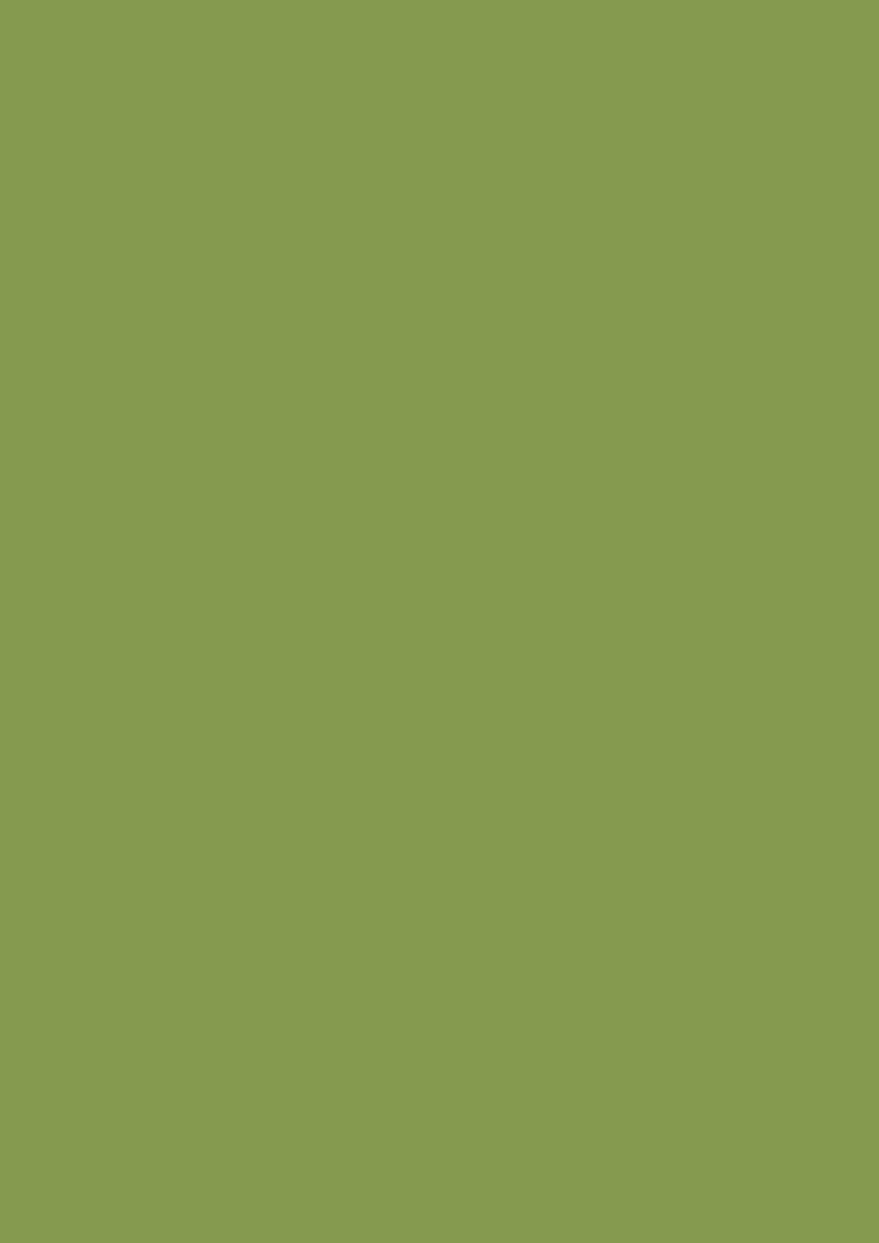 U626 ST9 Kiwi Green