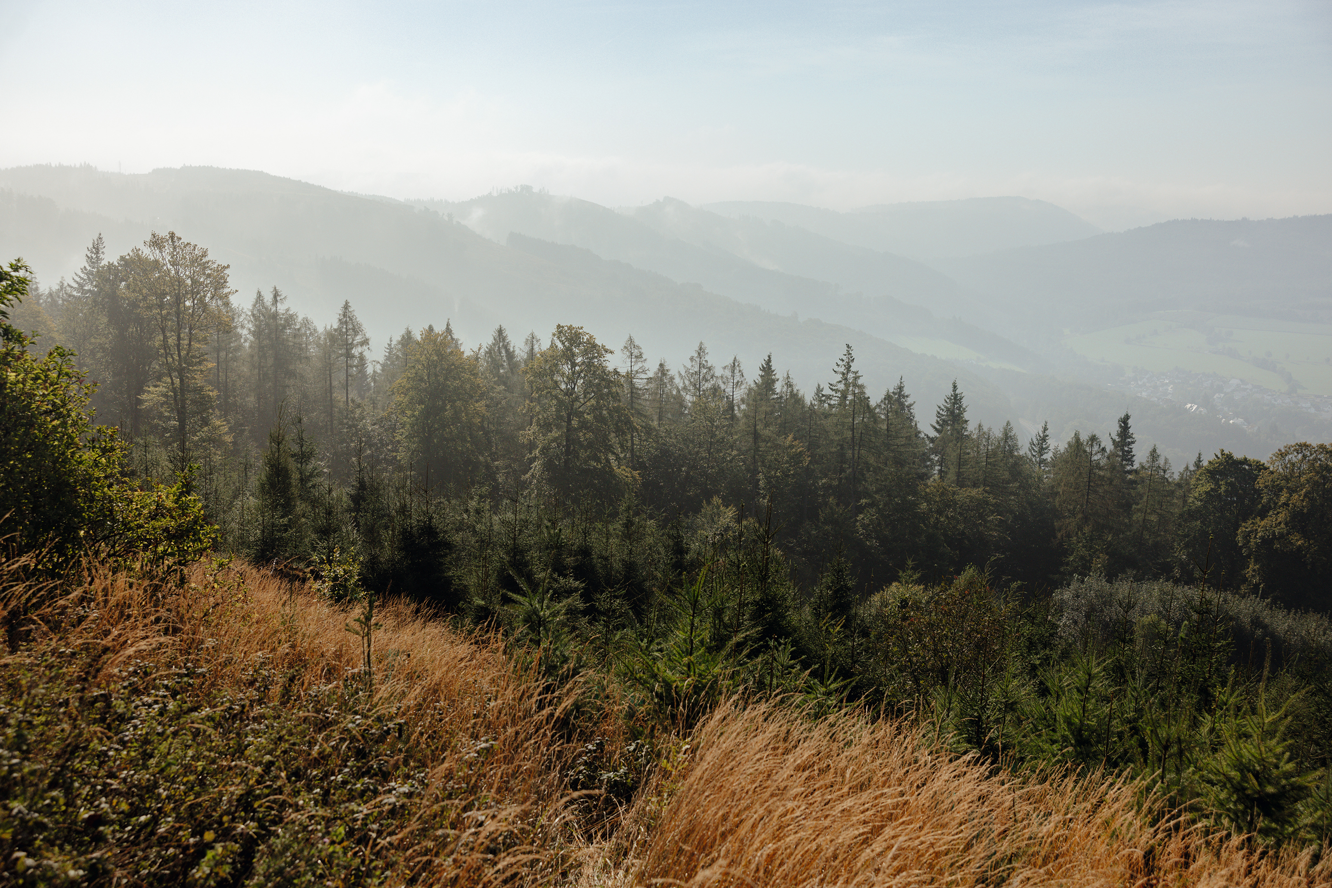 EGGER utilises the valuable resource wood responsibly and in multiple stages