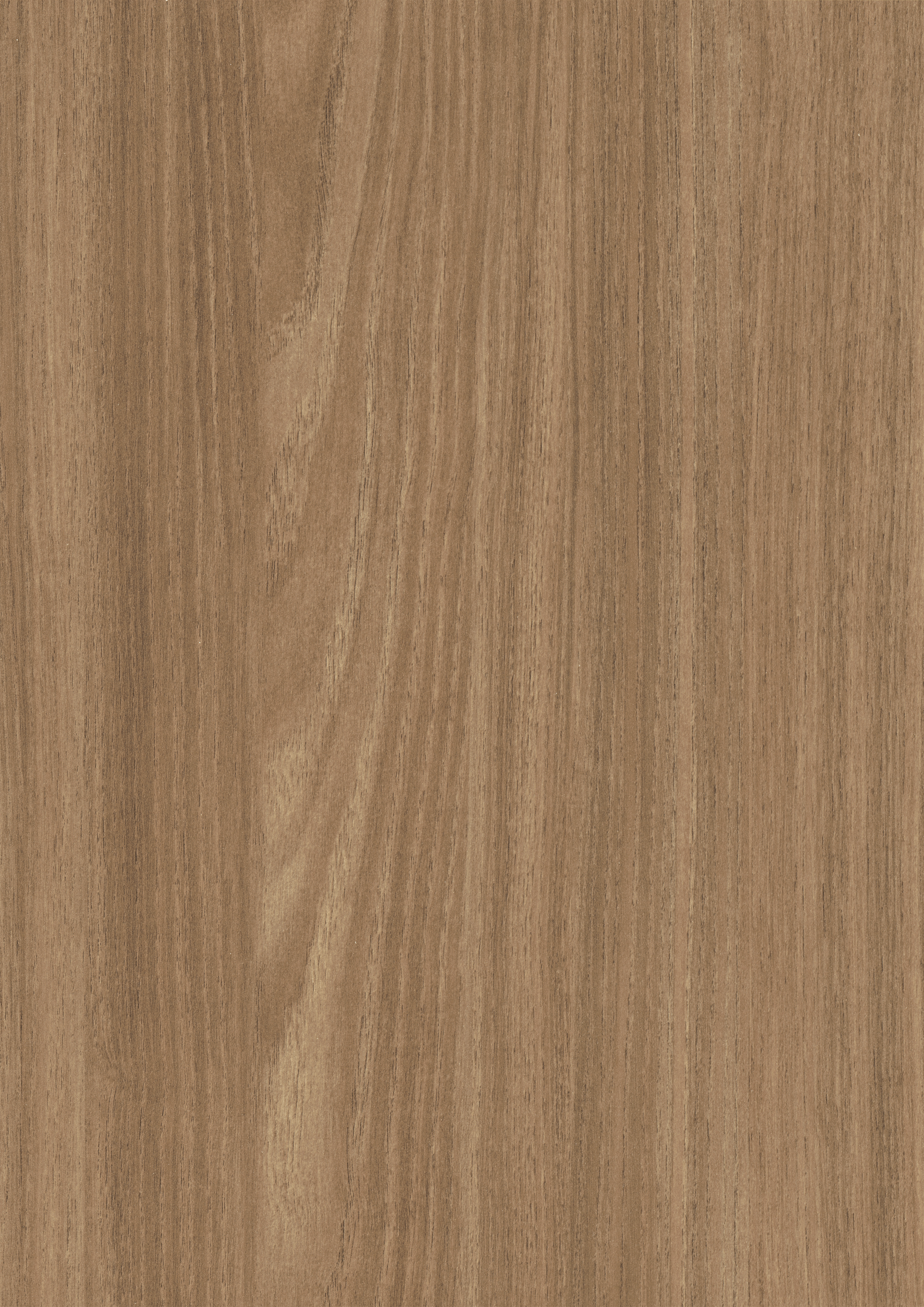 H1762 TM12 - Natural Walnut Efesto