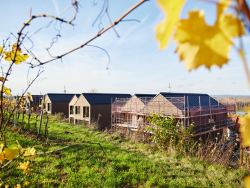 Each semi-detached house has a living space of around 120 m².
