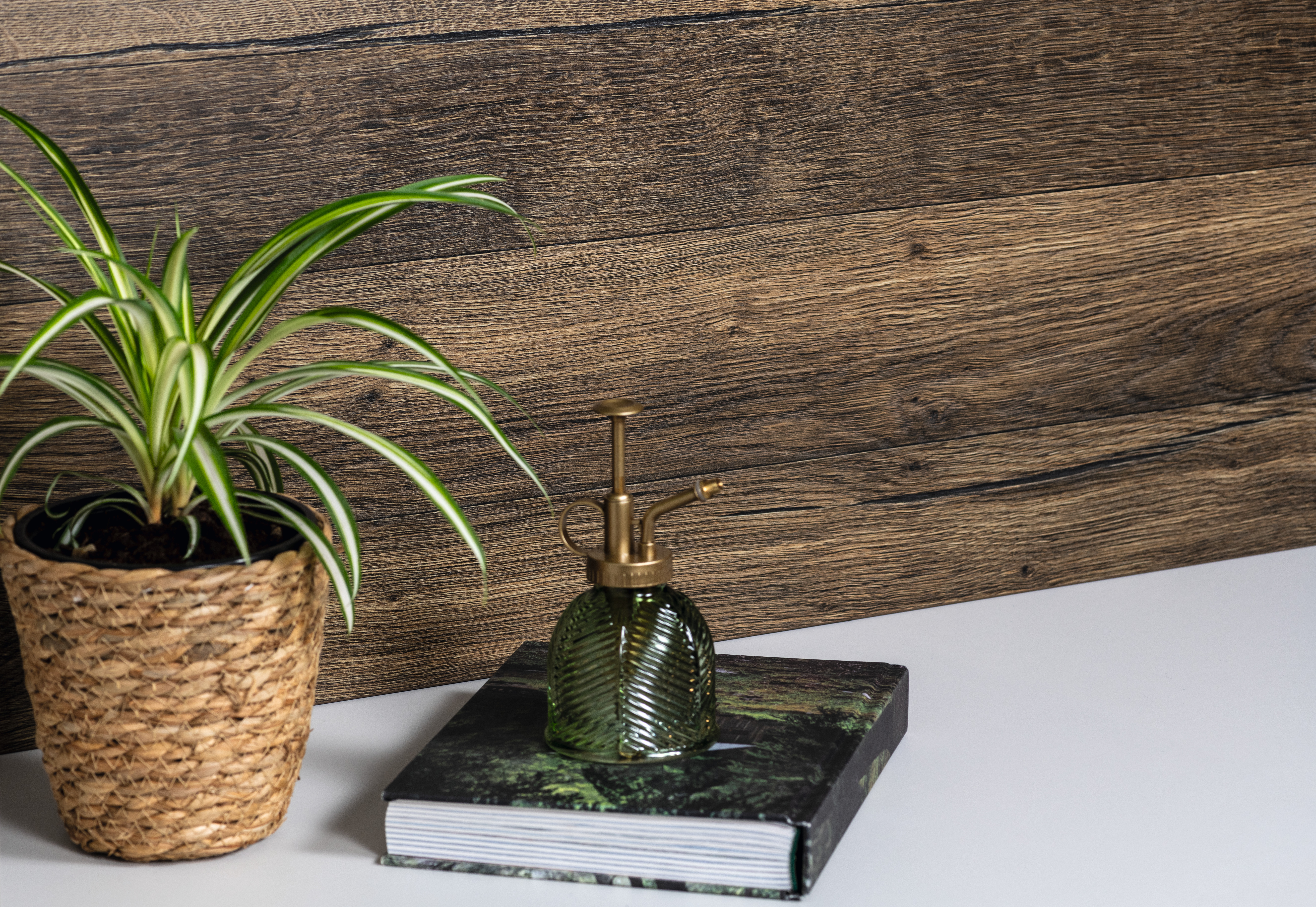 EGGER Insights | Expressive Woodgrains EGGER Insights | Expressive Woodgrains