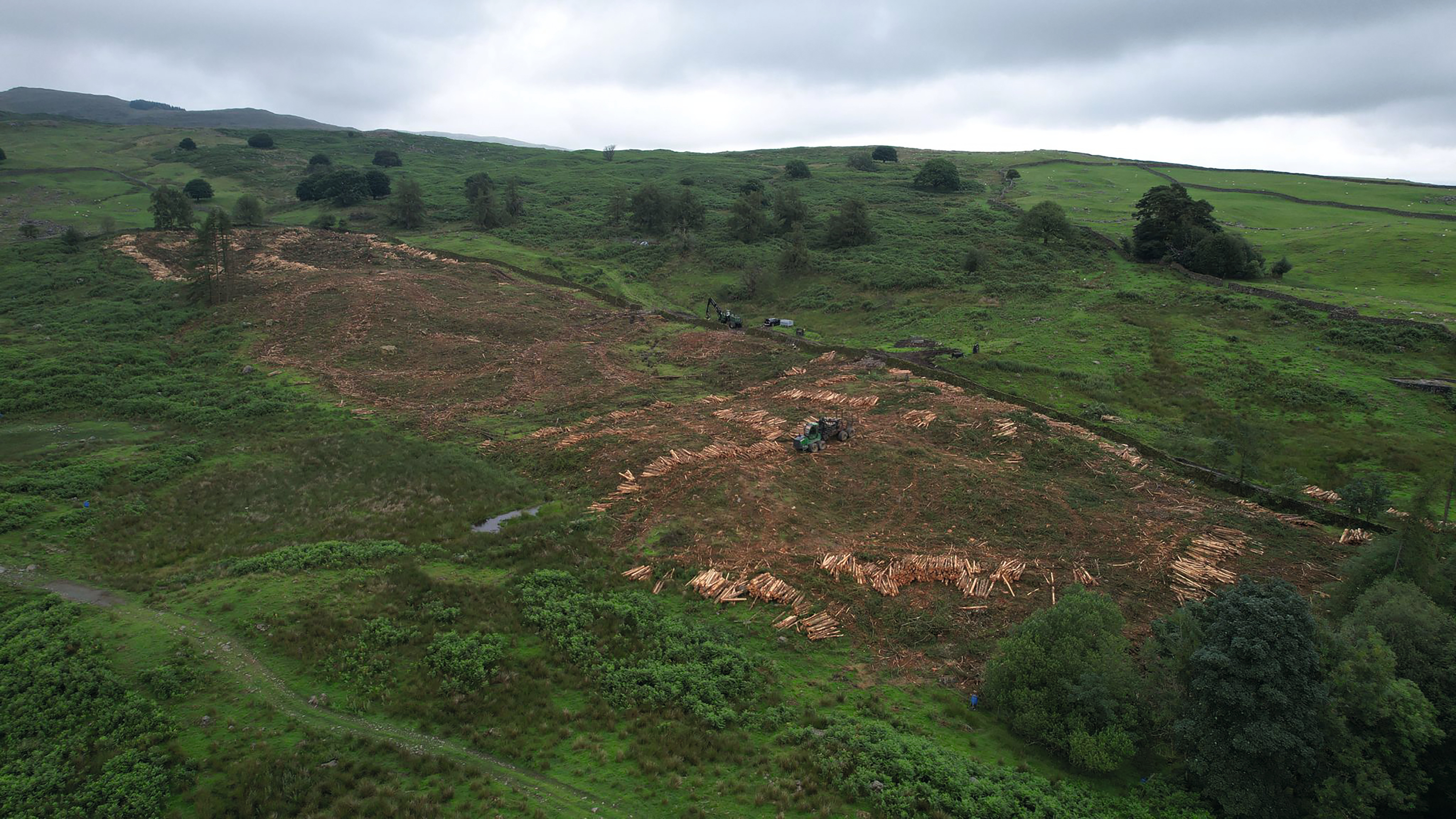 High Borrans, Windermere.