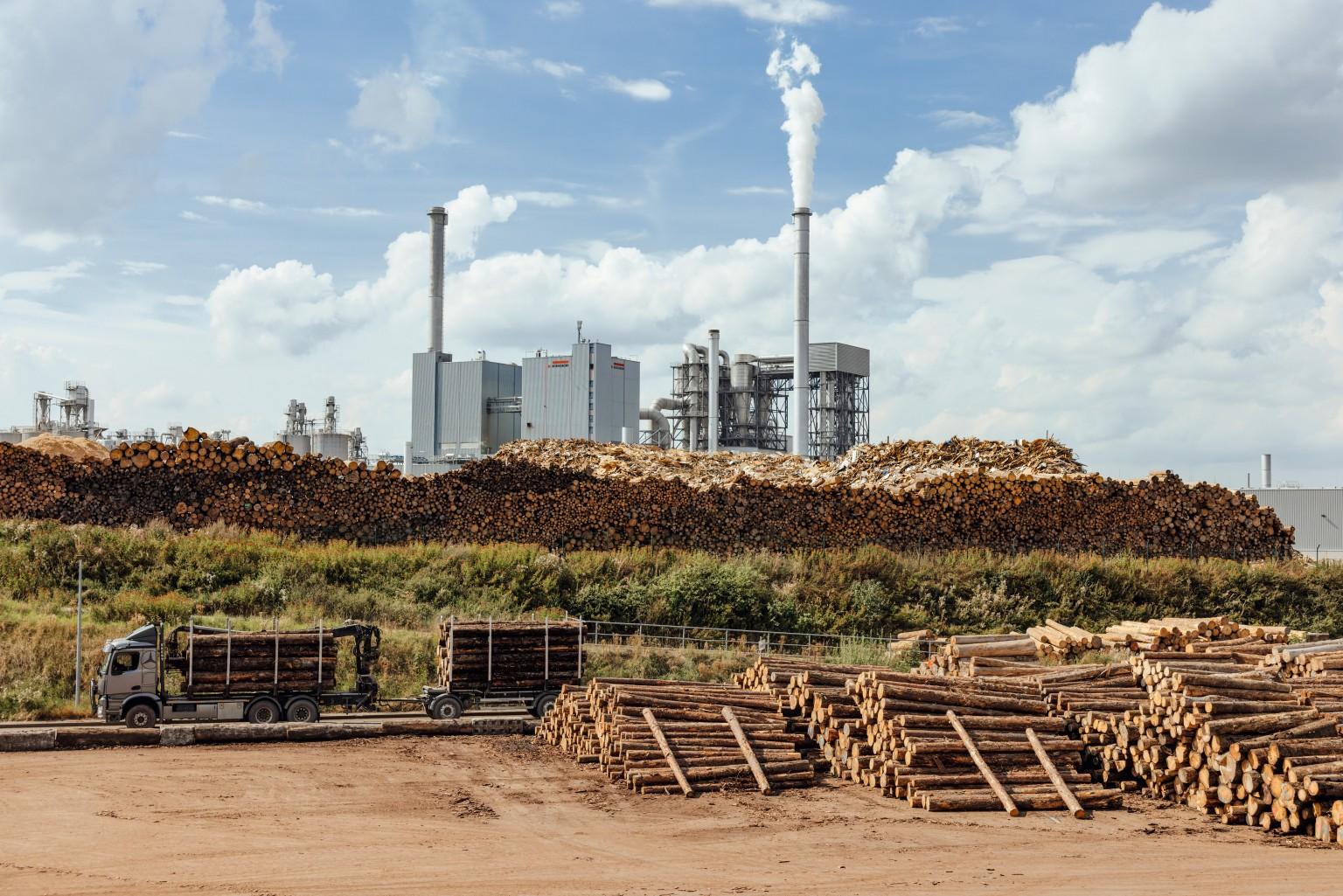 Sensible utilisation for every wood quality