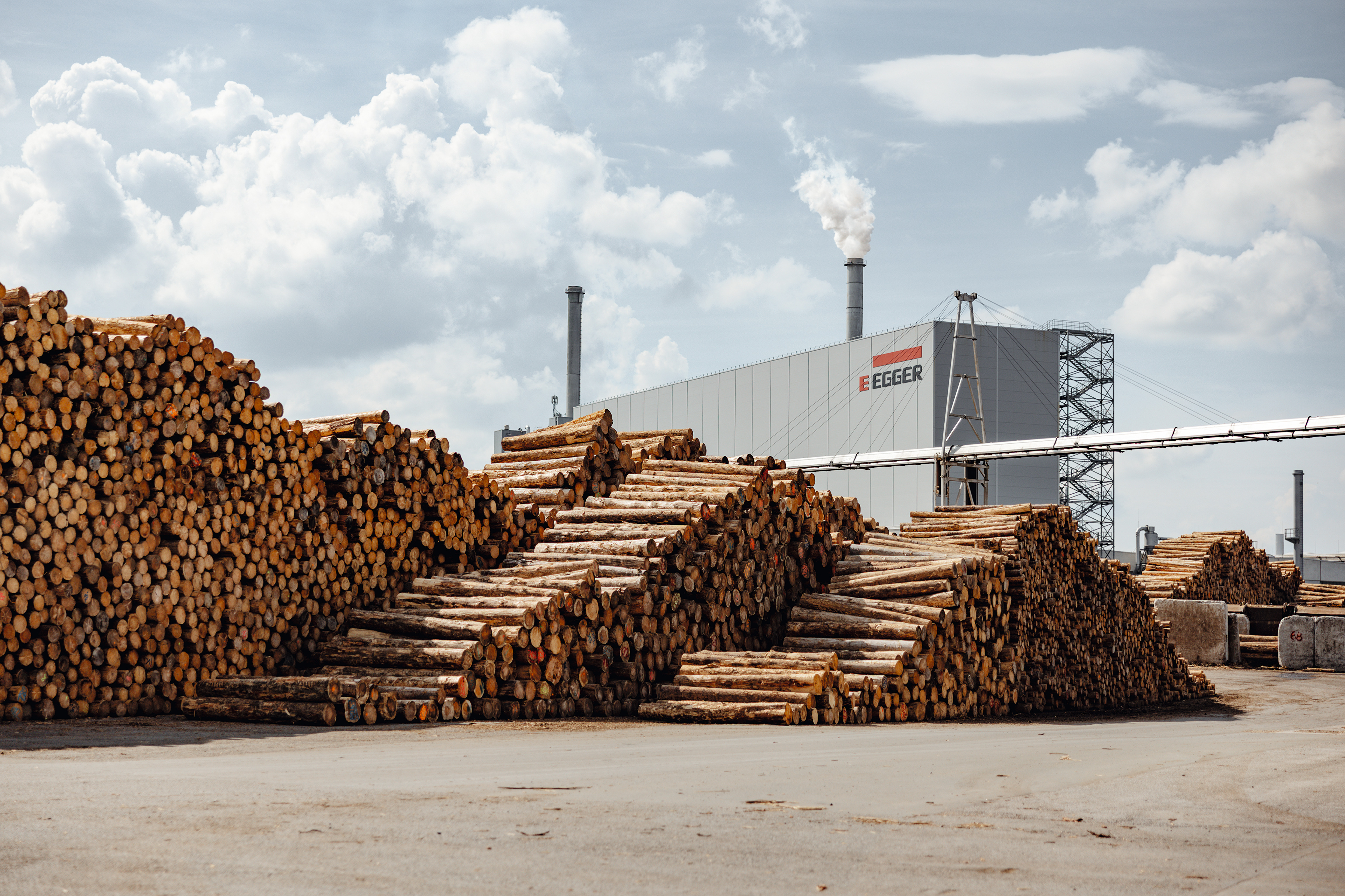 Sawlogs 