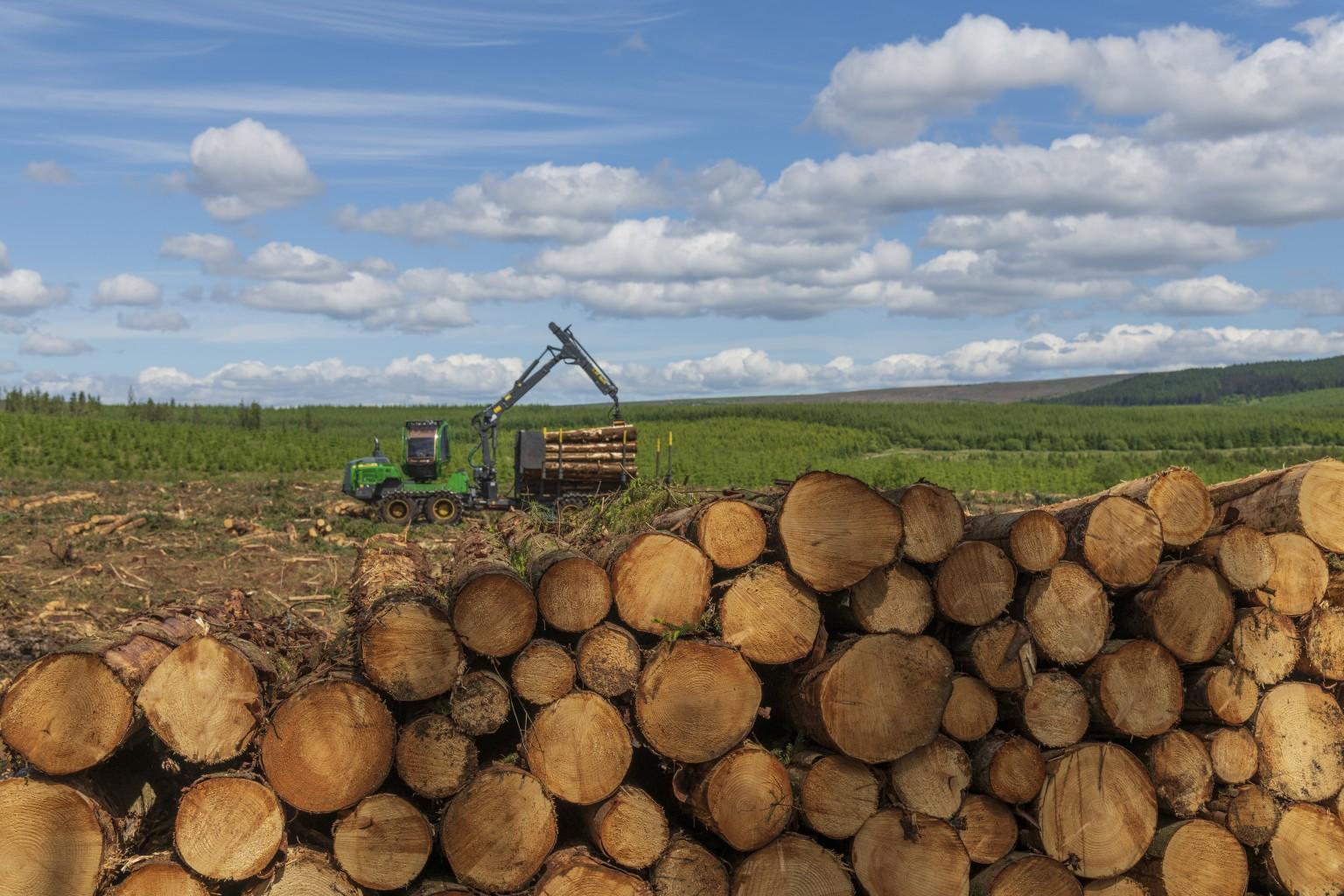 EGGER Forestry