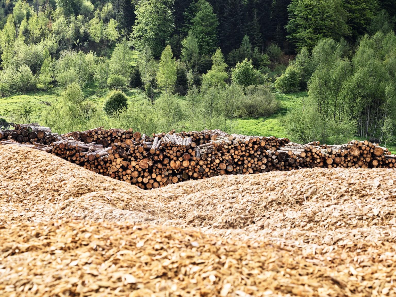  Vos contacts d'achat de bois