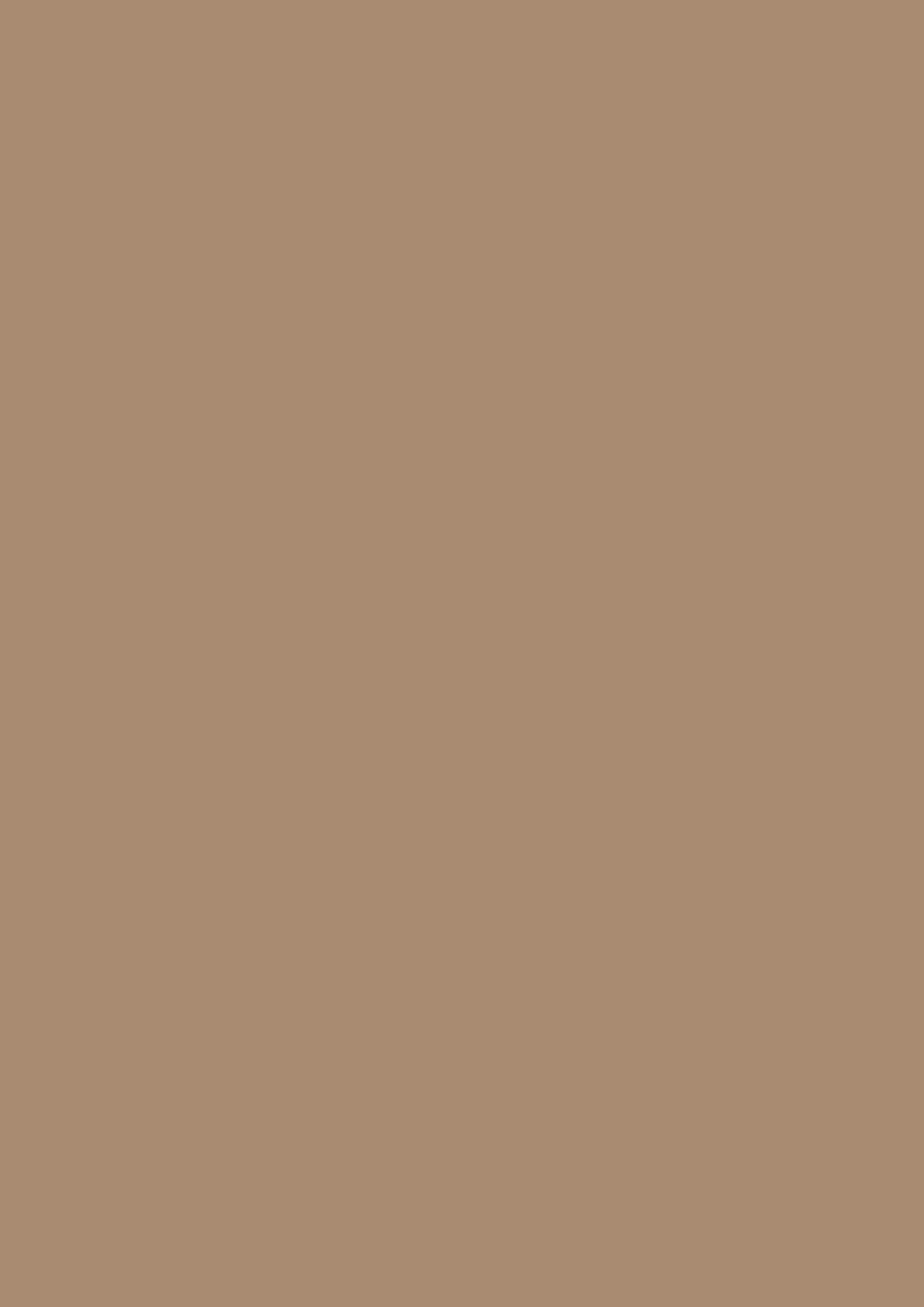 U250 ST9 - Caramel Beige