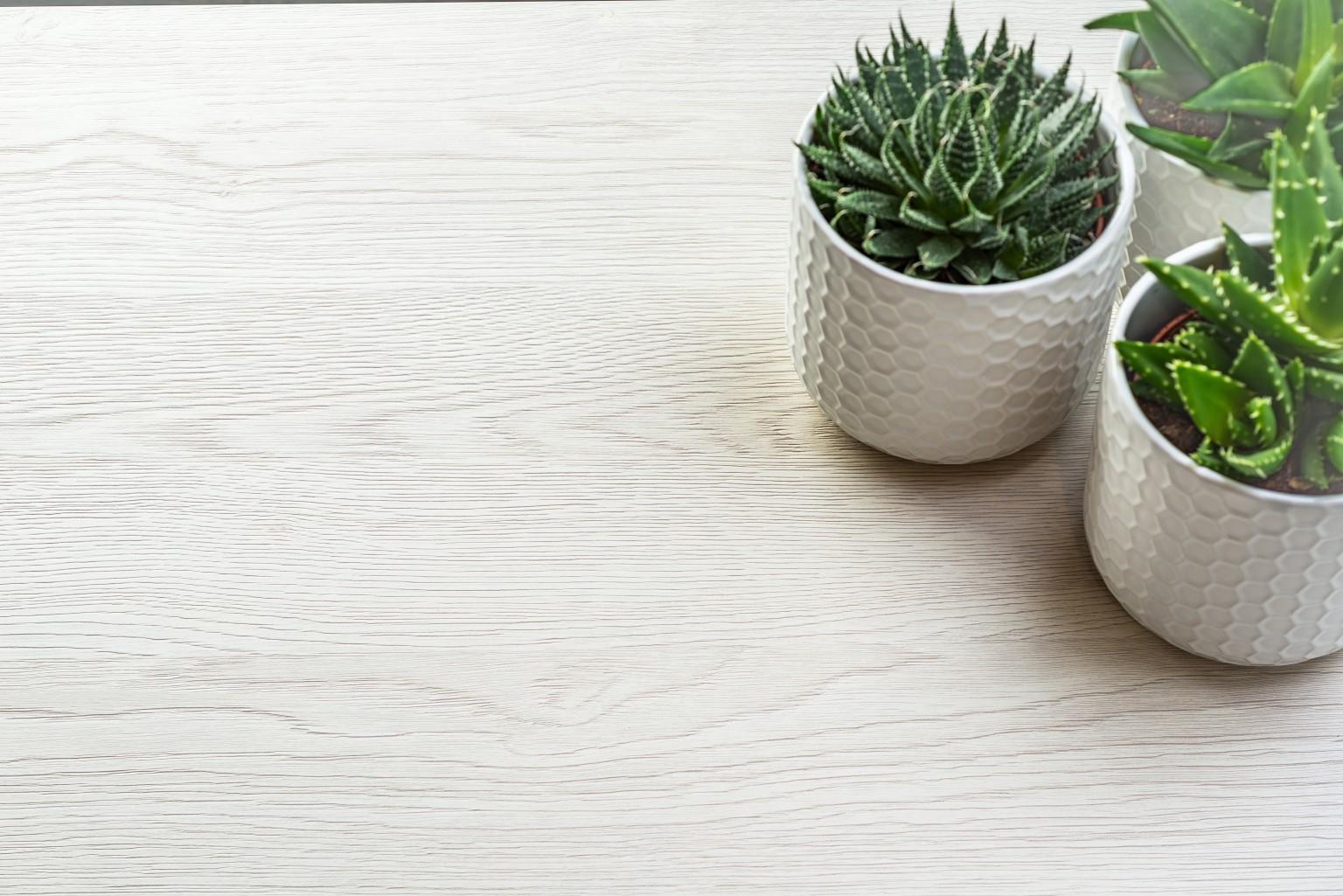 Autorizația Integrată de Mediu (AIM)