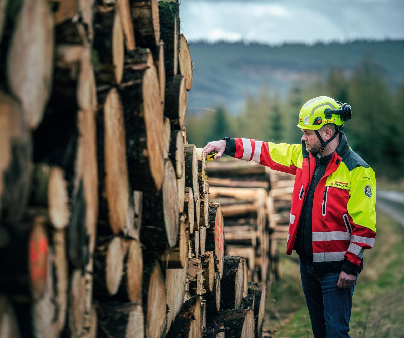 Forestry 
