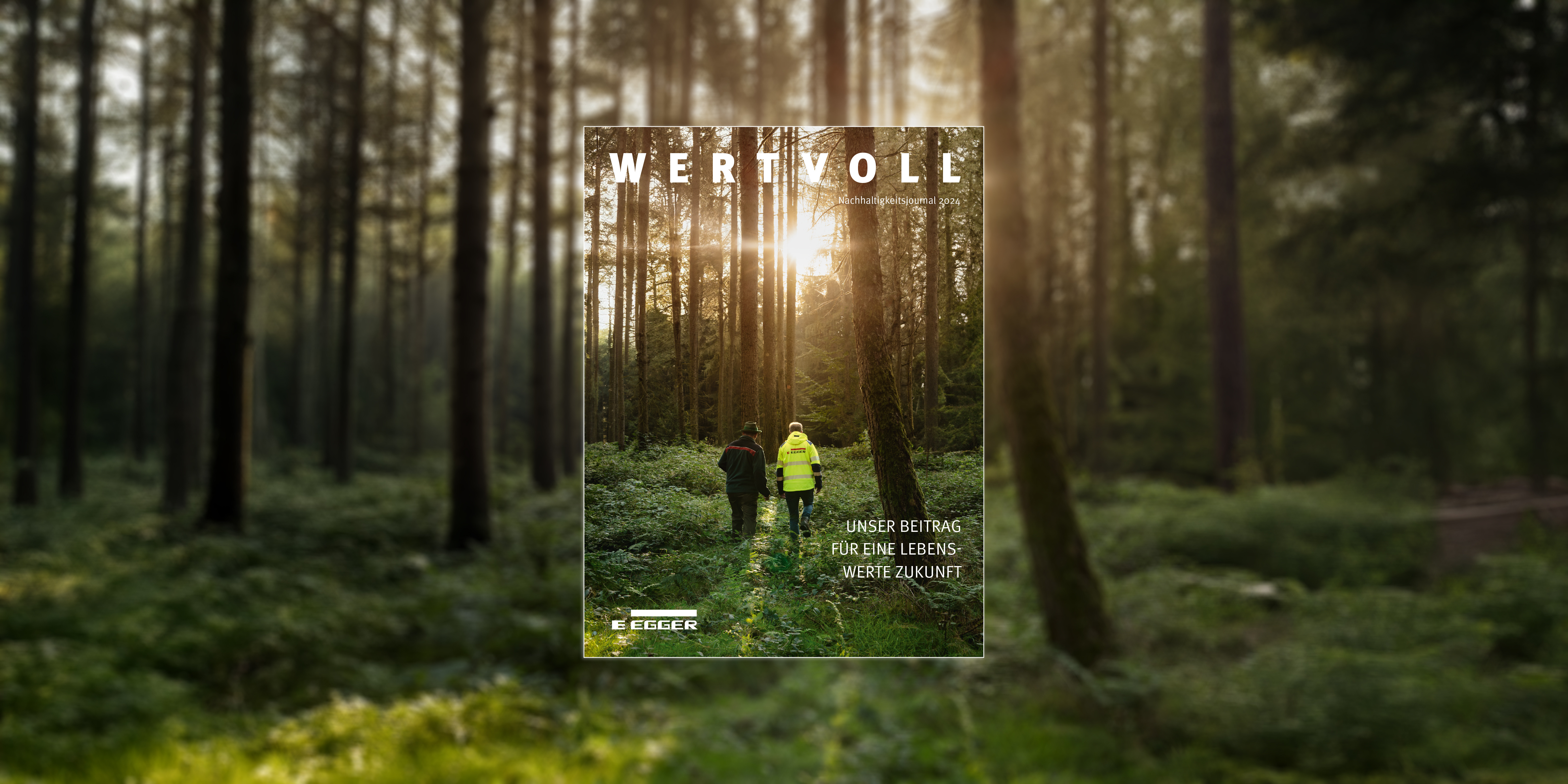 Cover sustainability journal Cover sustainability journal