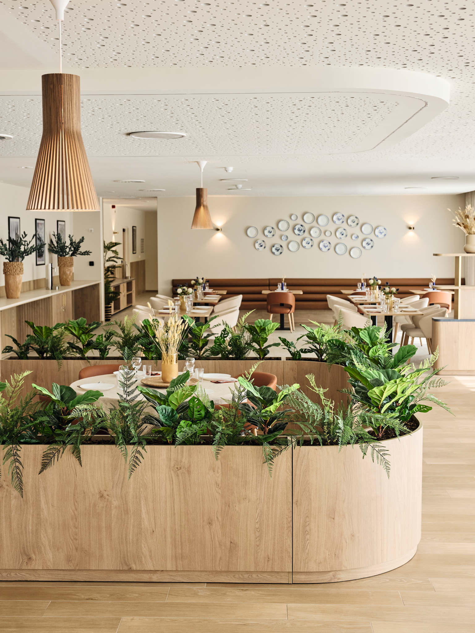 Zona pranzo nella casa di riposo con piante decorative e arredi