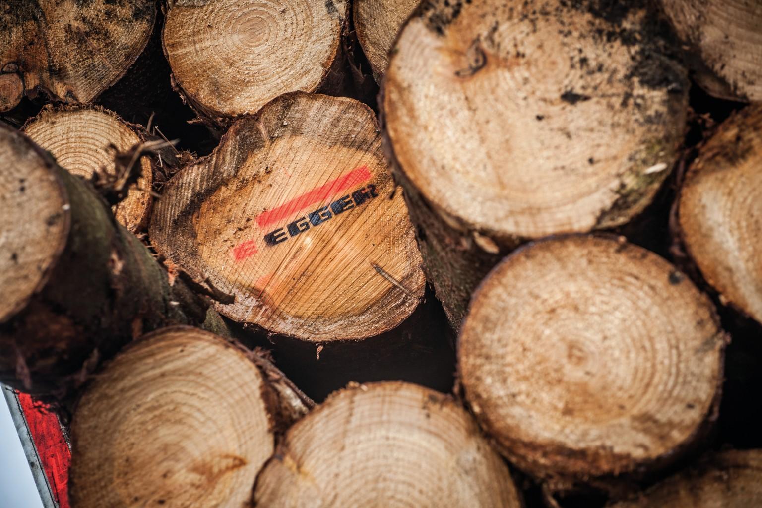 About EGGER Forestry