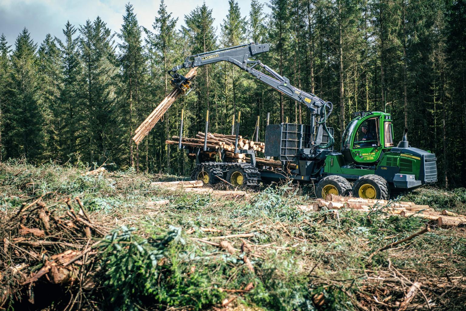 Forestry 
