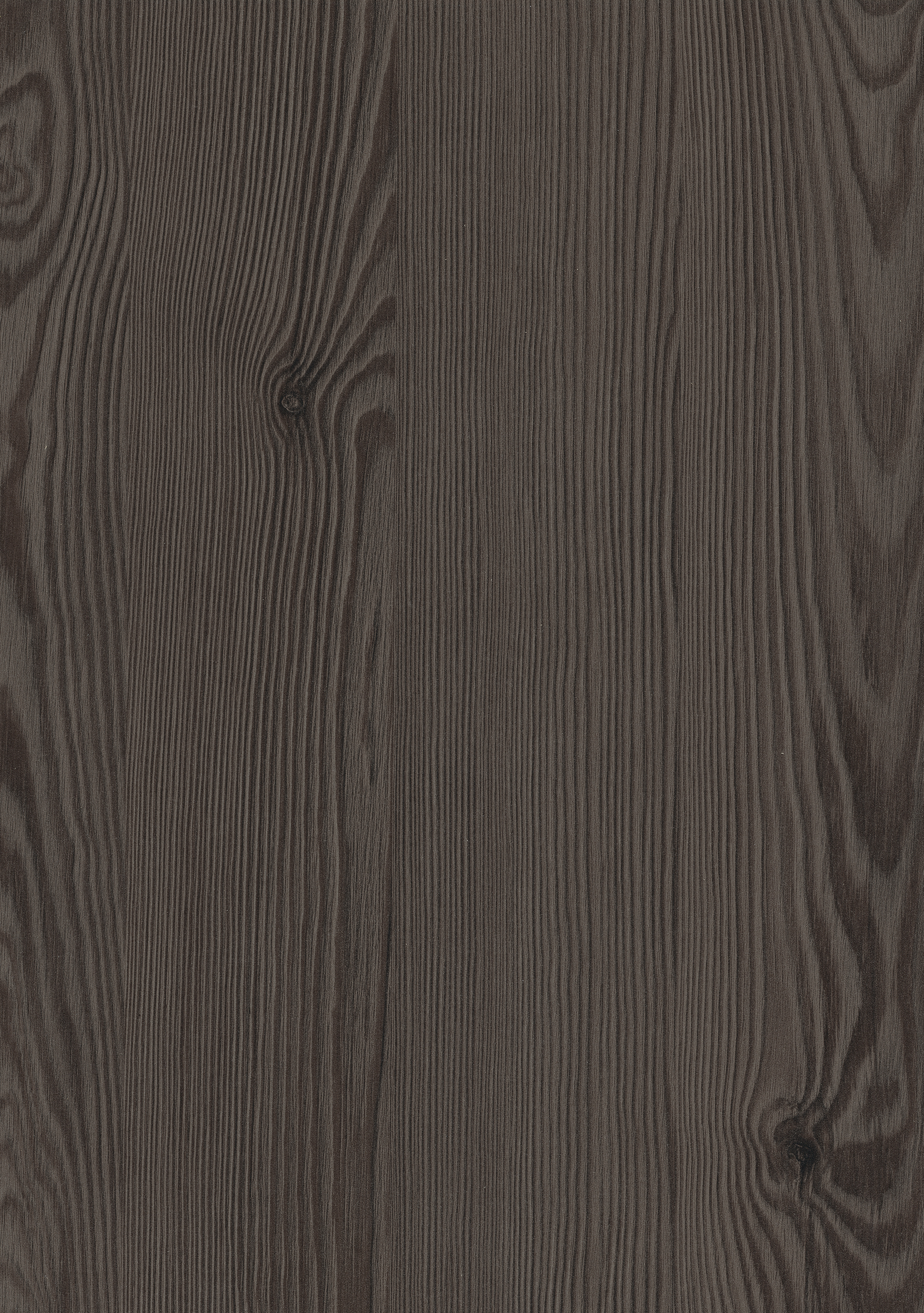 H3406 ST38 Anthracite Mountain Larch