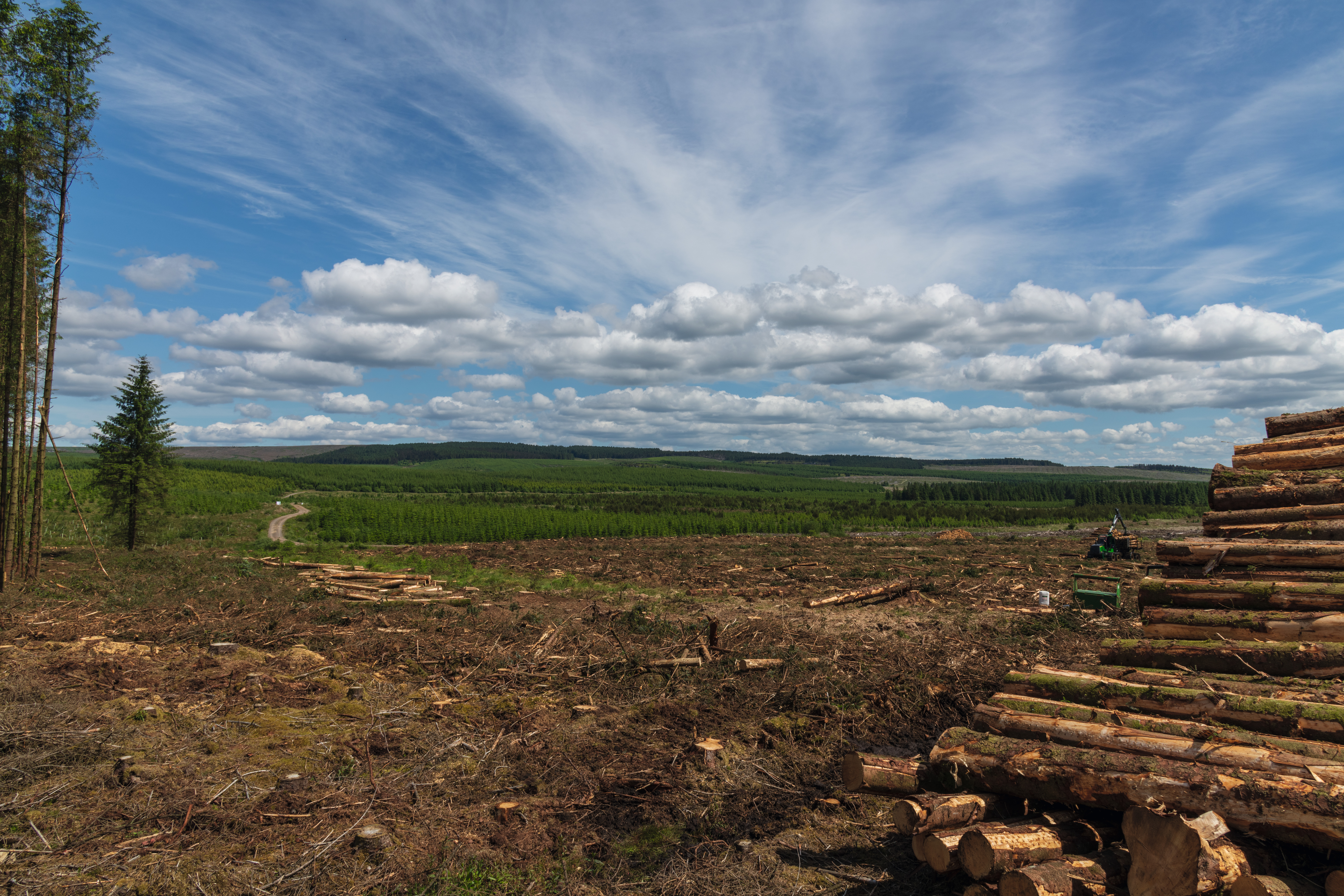 Spadeadam Forest, Northumberland
