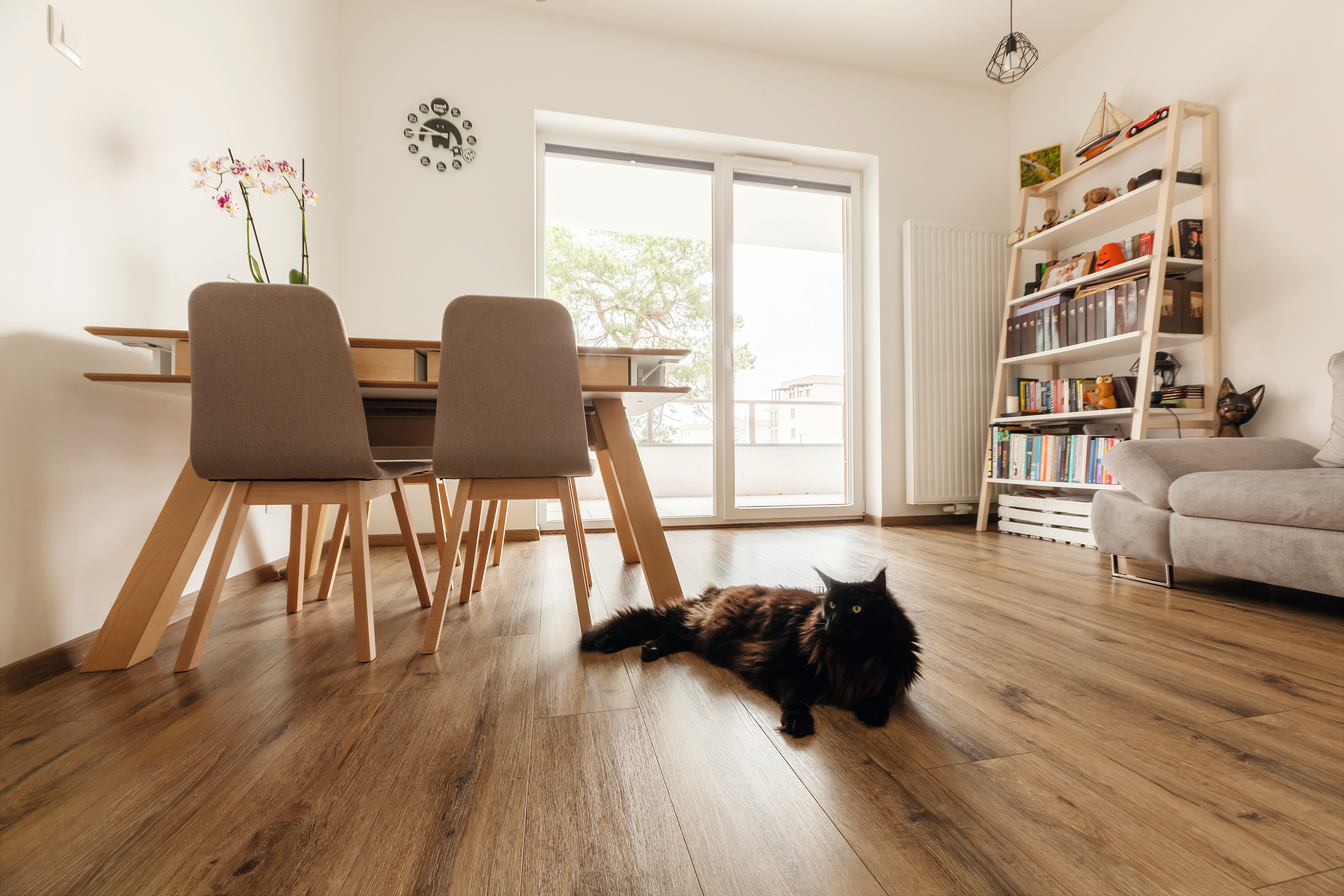 Pets are not a problem for this robust laminate flooring.