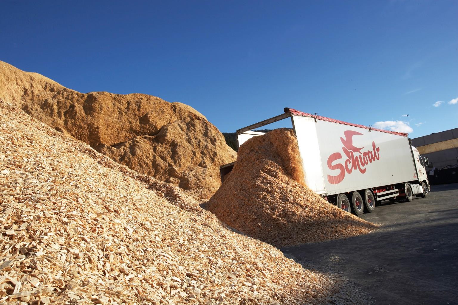 Holzlogistik LKW
