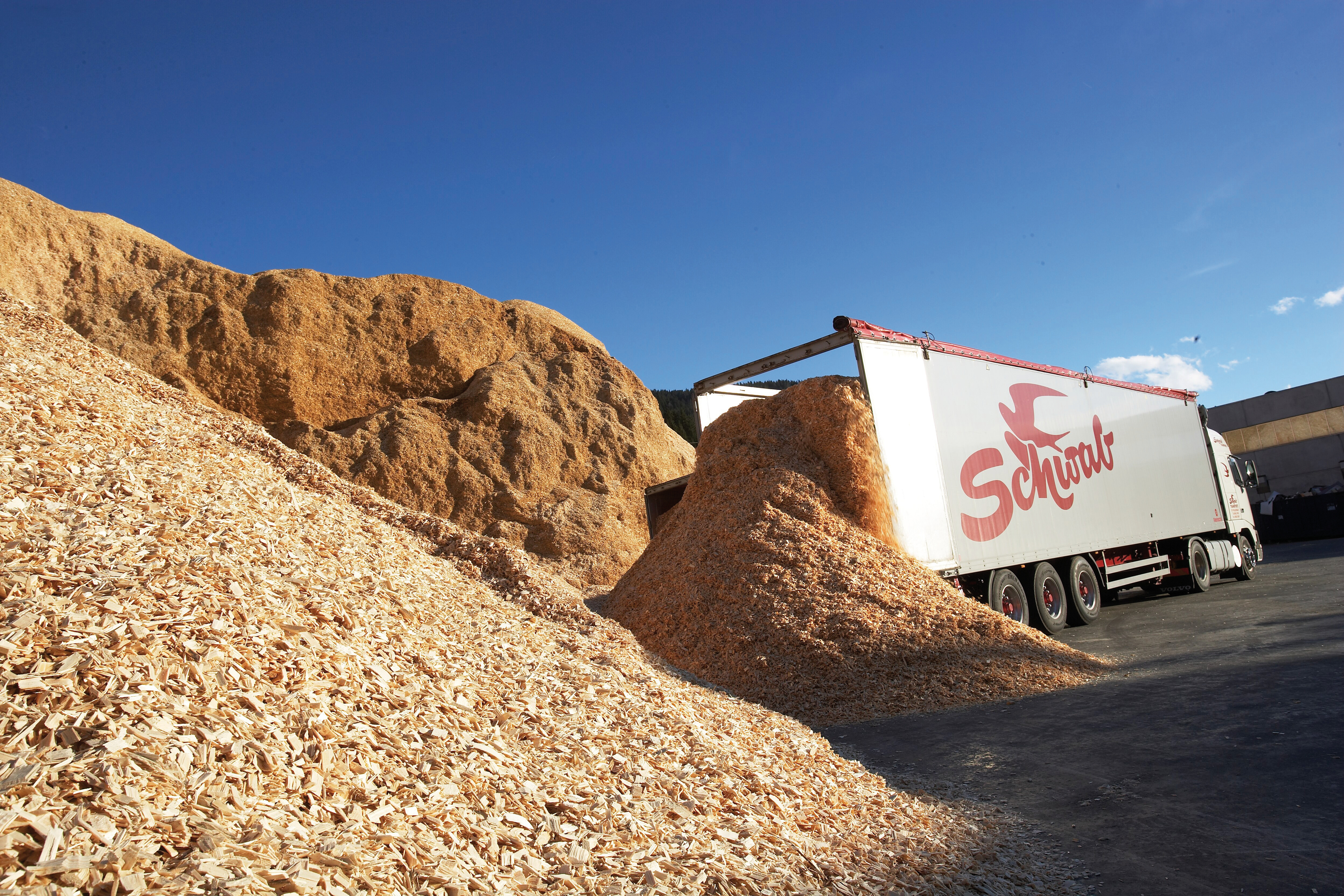 Holzlogistik LKW Holzlogistik LKW