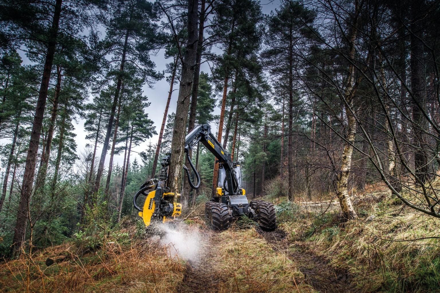Forestry