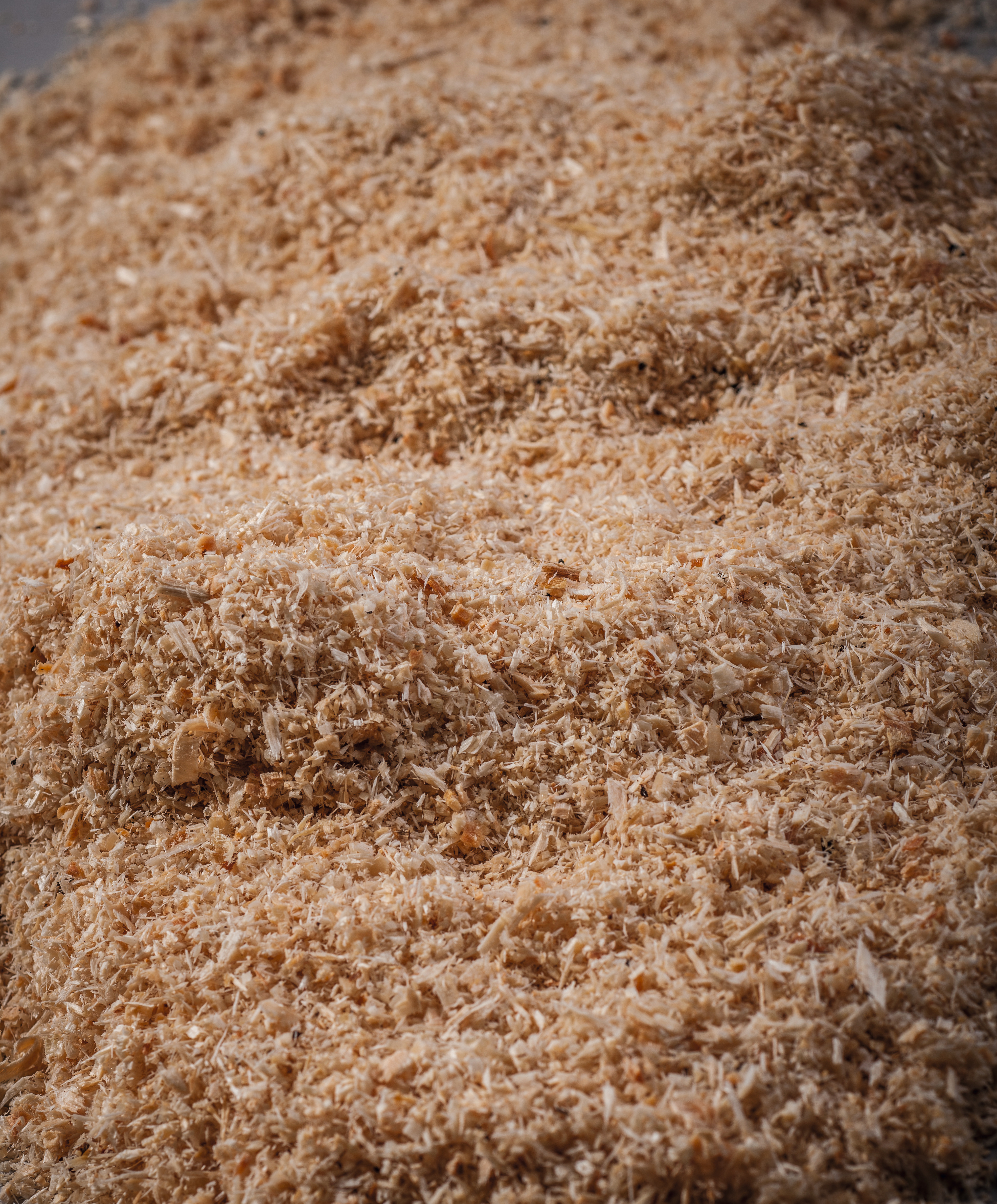 sawdust