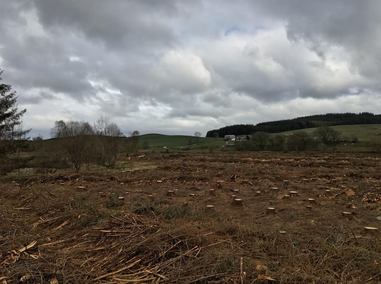 Barnshalloch Moor