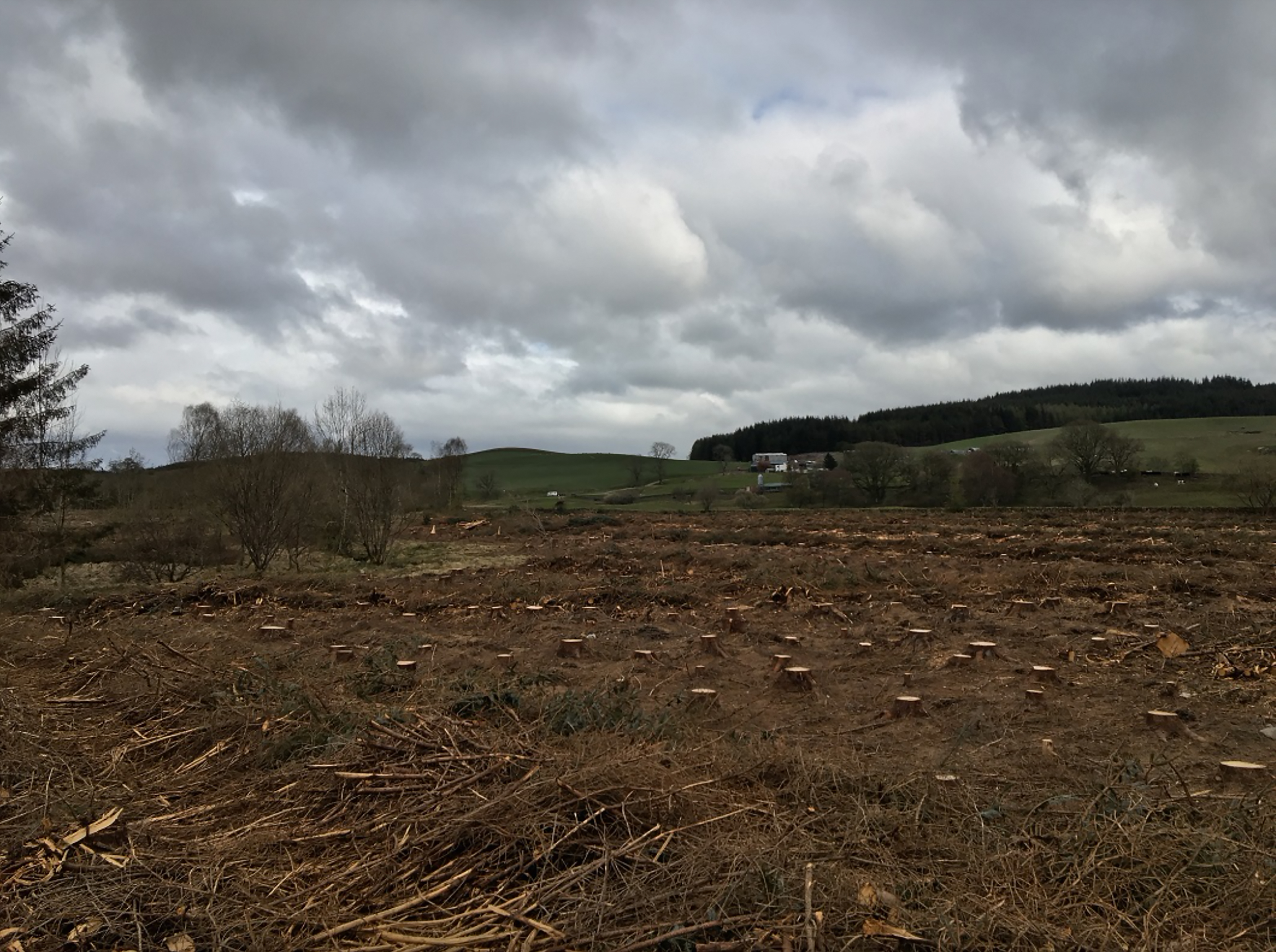 Barnshalloch Moor
