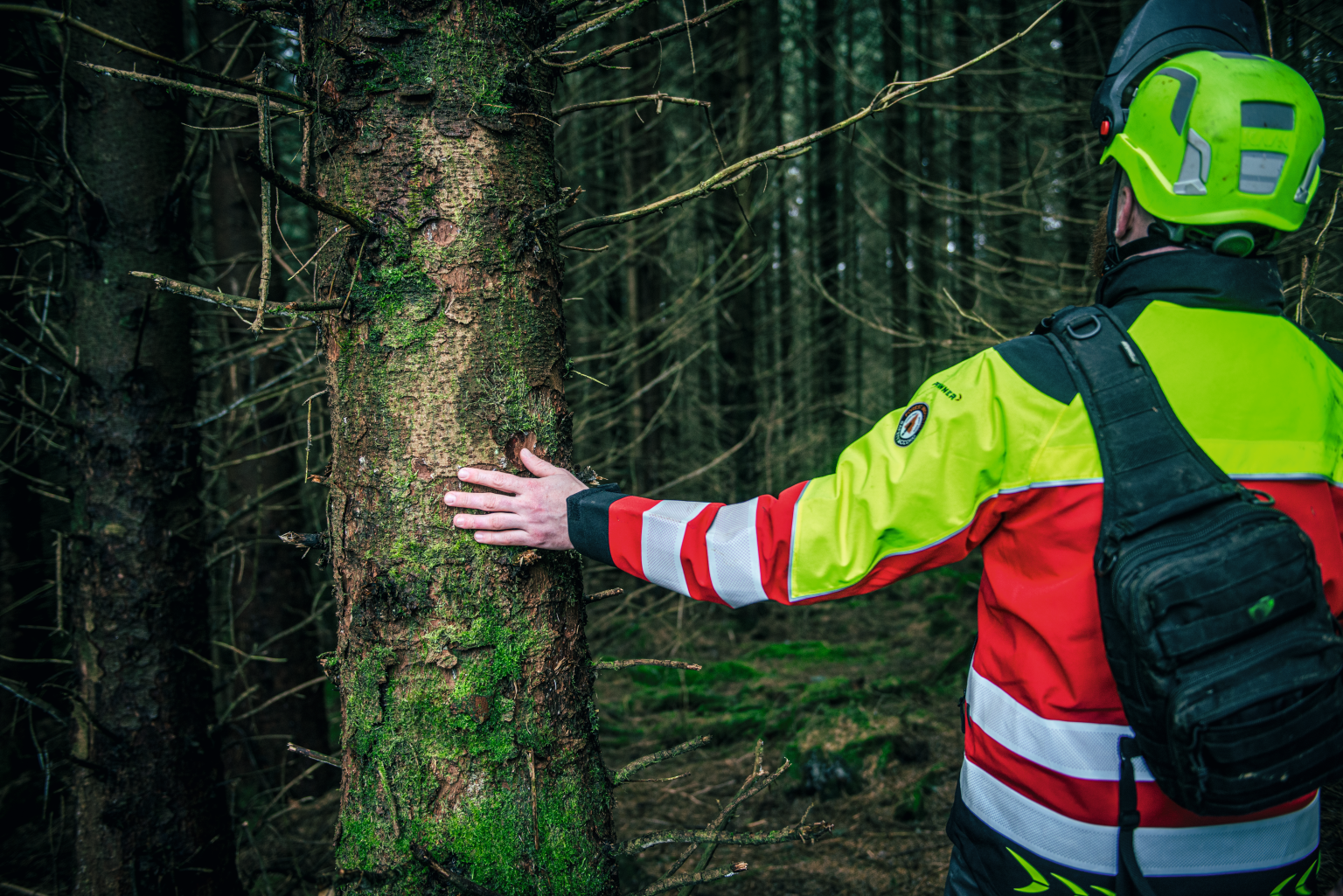 Forestry