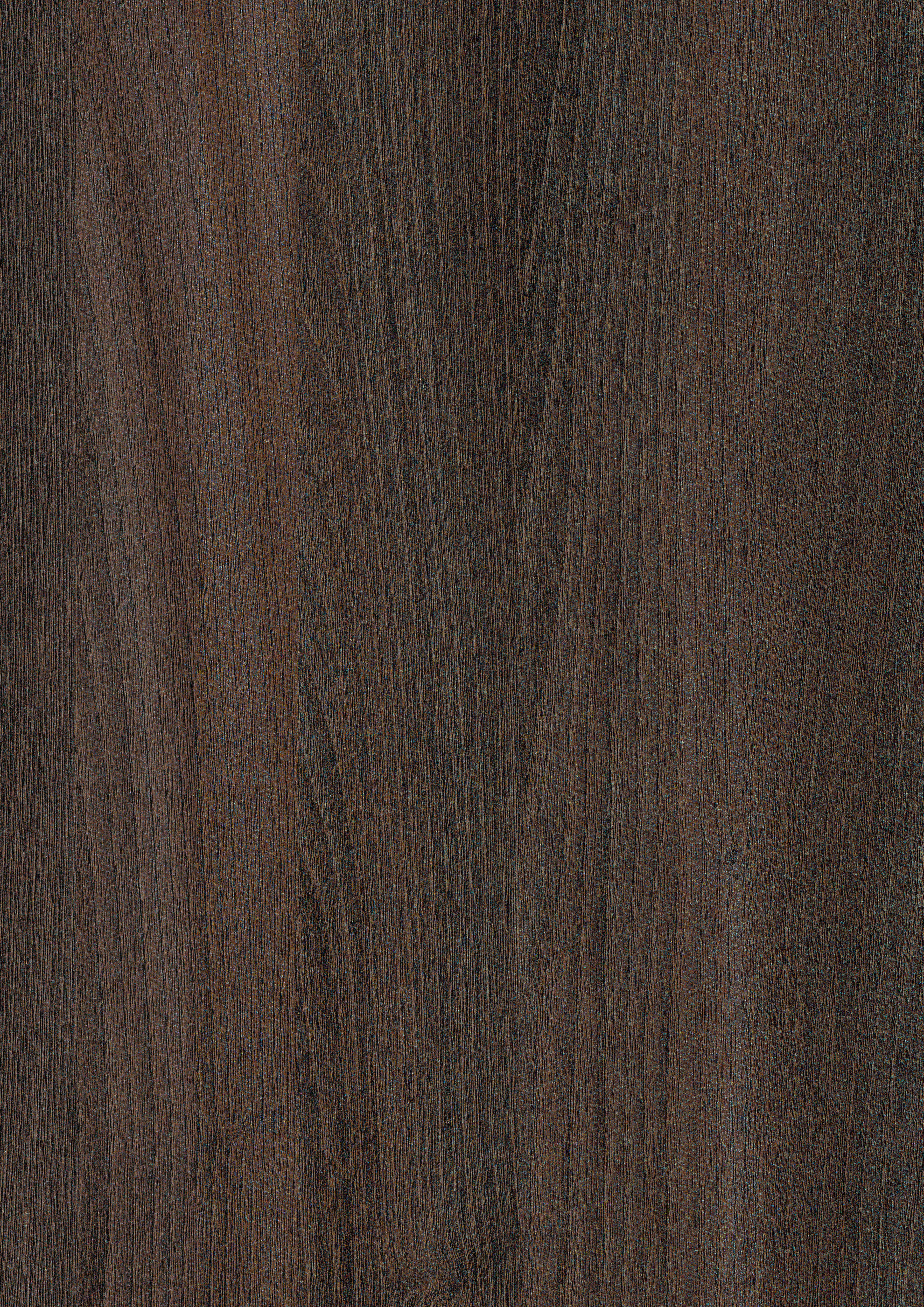 H1253 ST19 Truffle Brown Branson Robinia