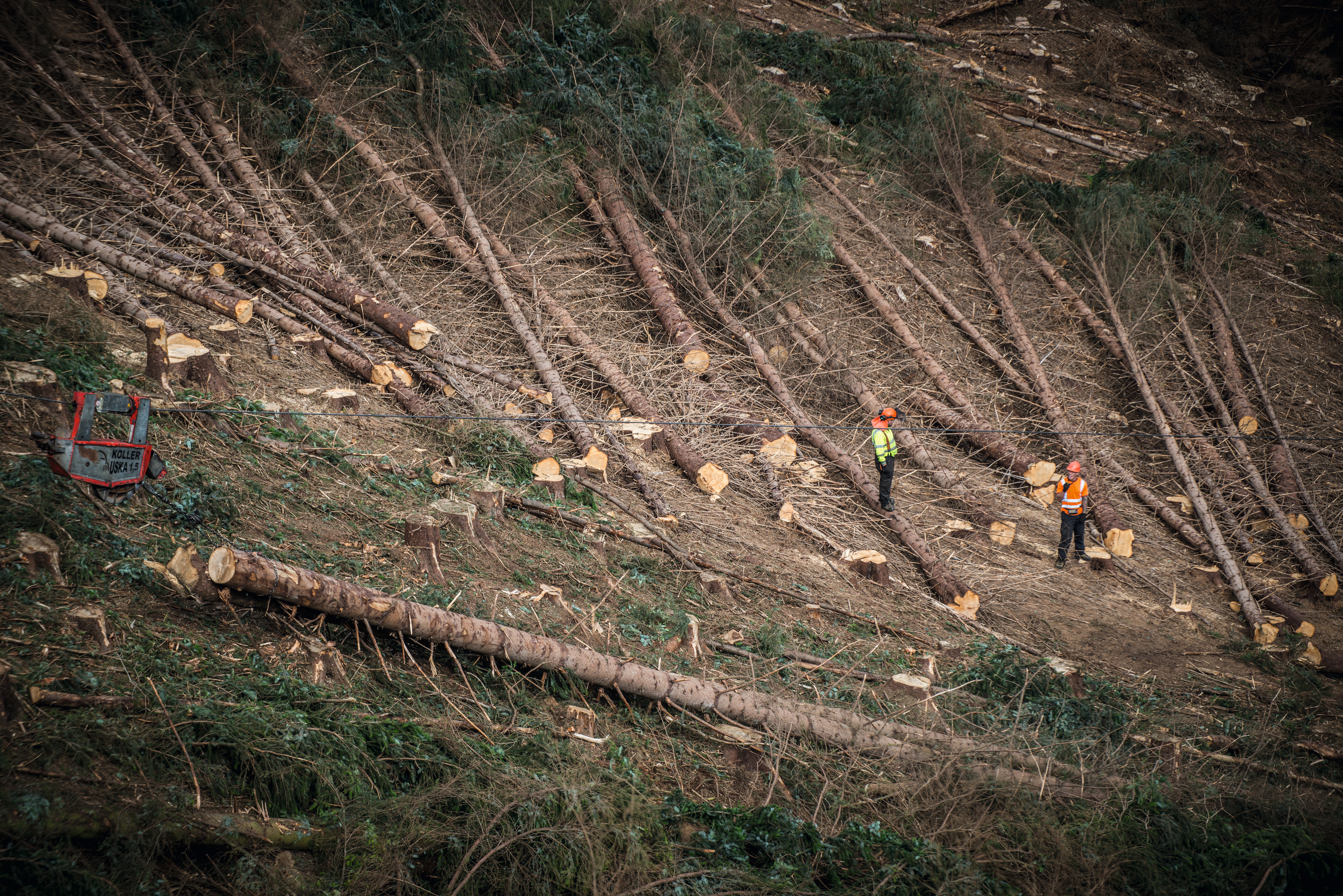 Harvesting on steep ground