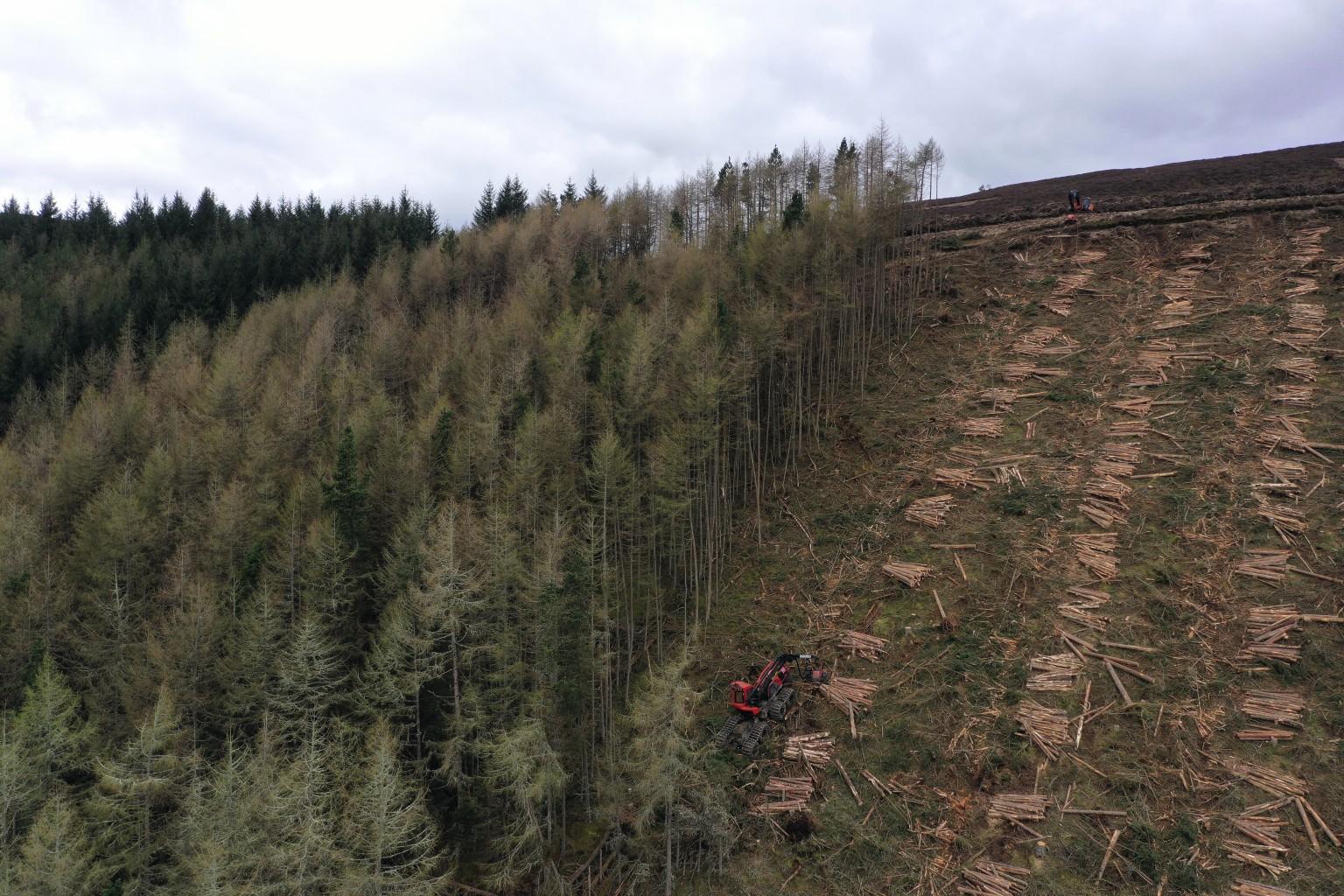 Black Craig, Scottish Borders