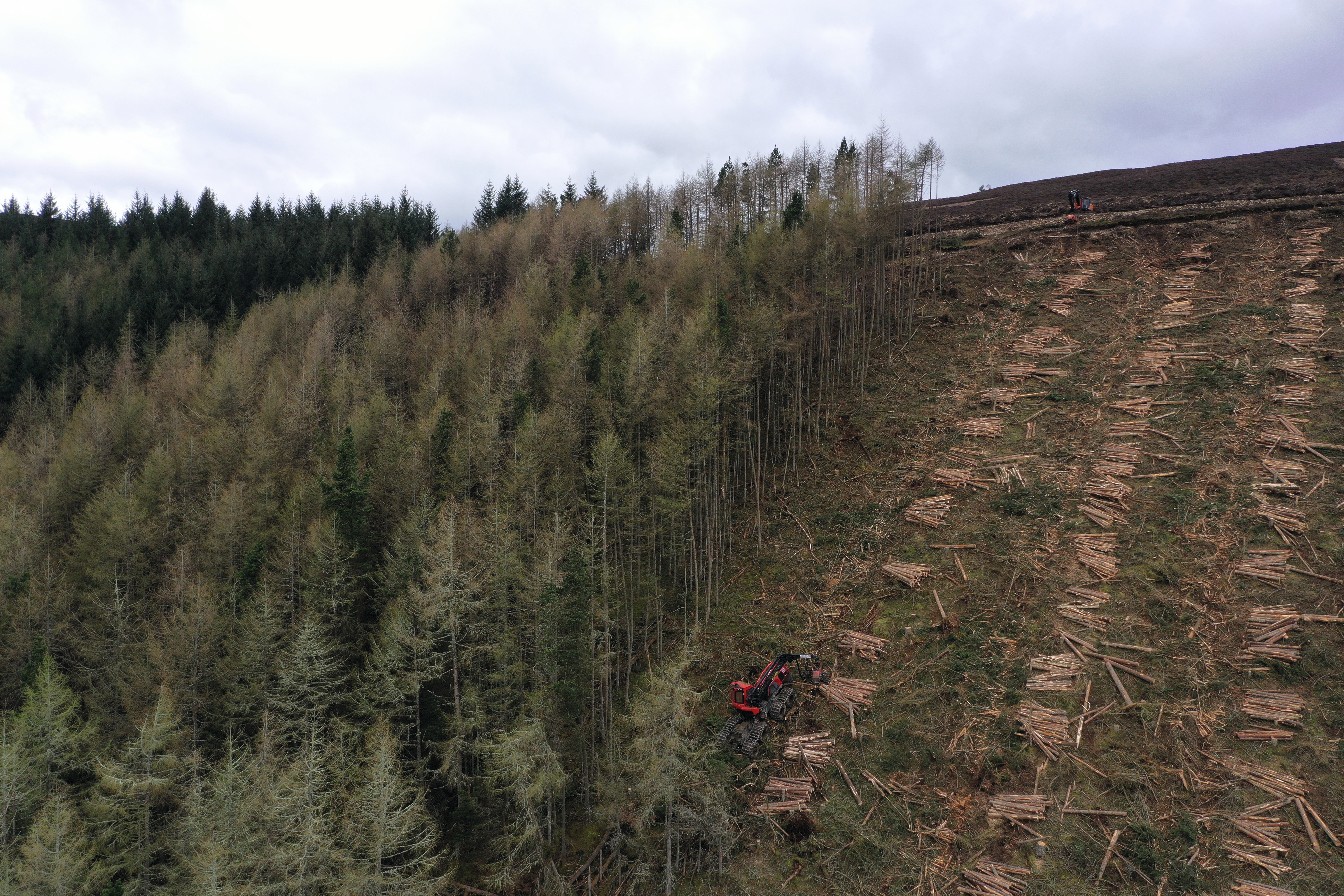 Black Craig, Scottish Borders