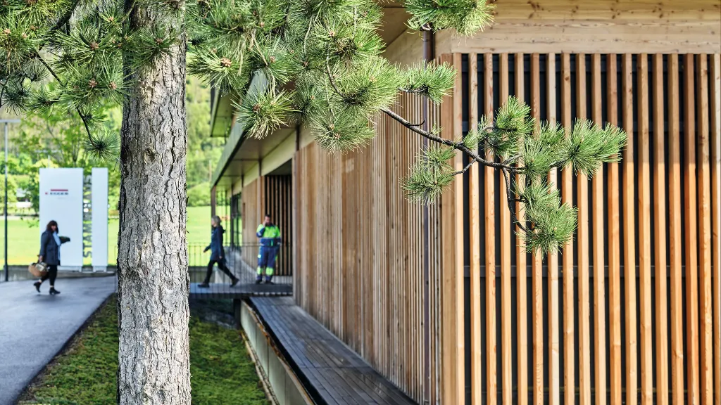 Biz yog‘ochdan ko‘proq imkoniyat yaratamiz