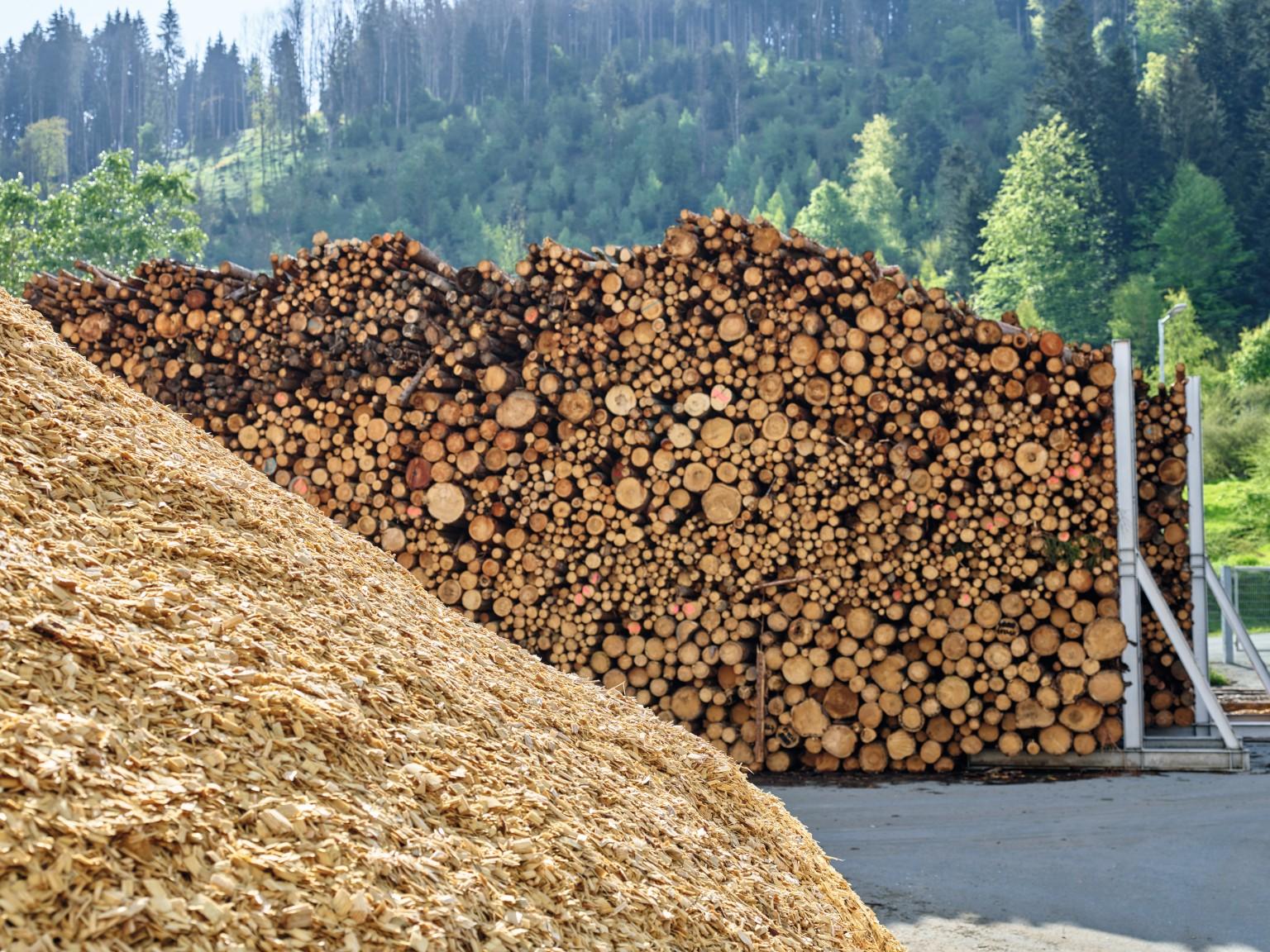 Achat de bois EGGER
