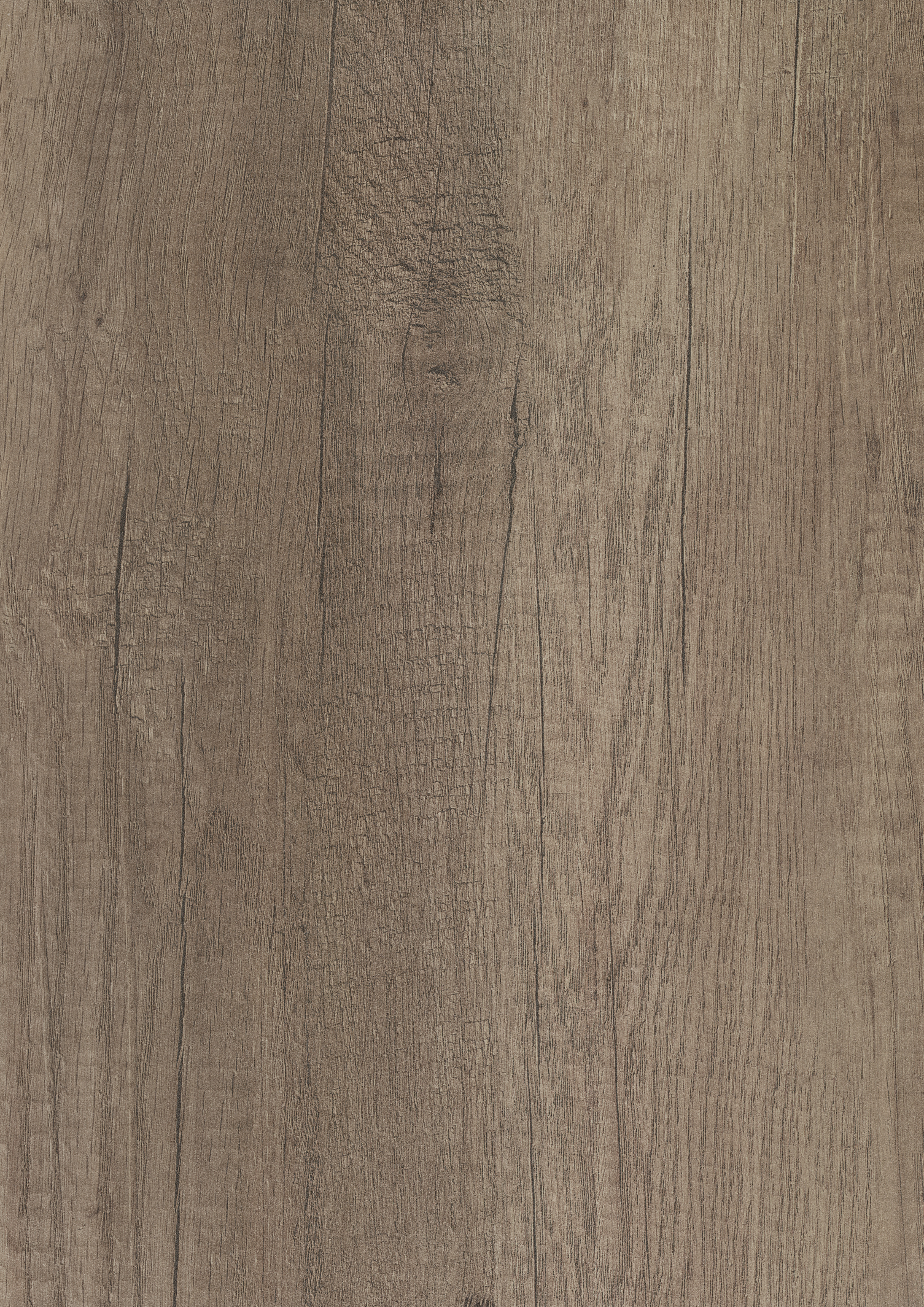 H3332 ST10 Grey Nebraska Oak H3332 ST10 Grey Nebraska Oak