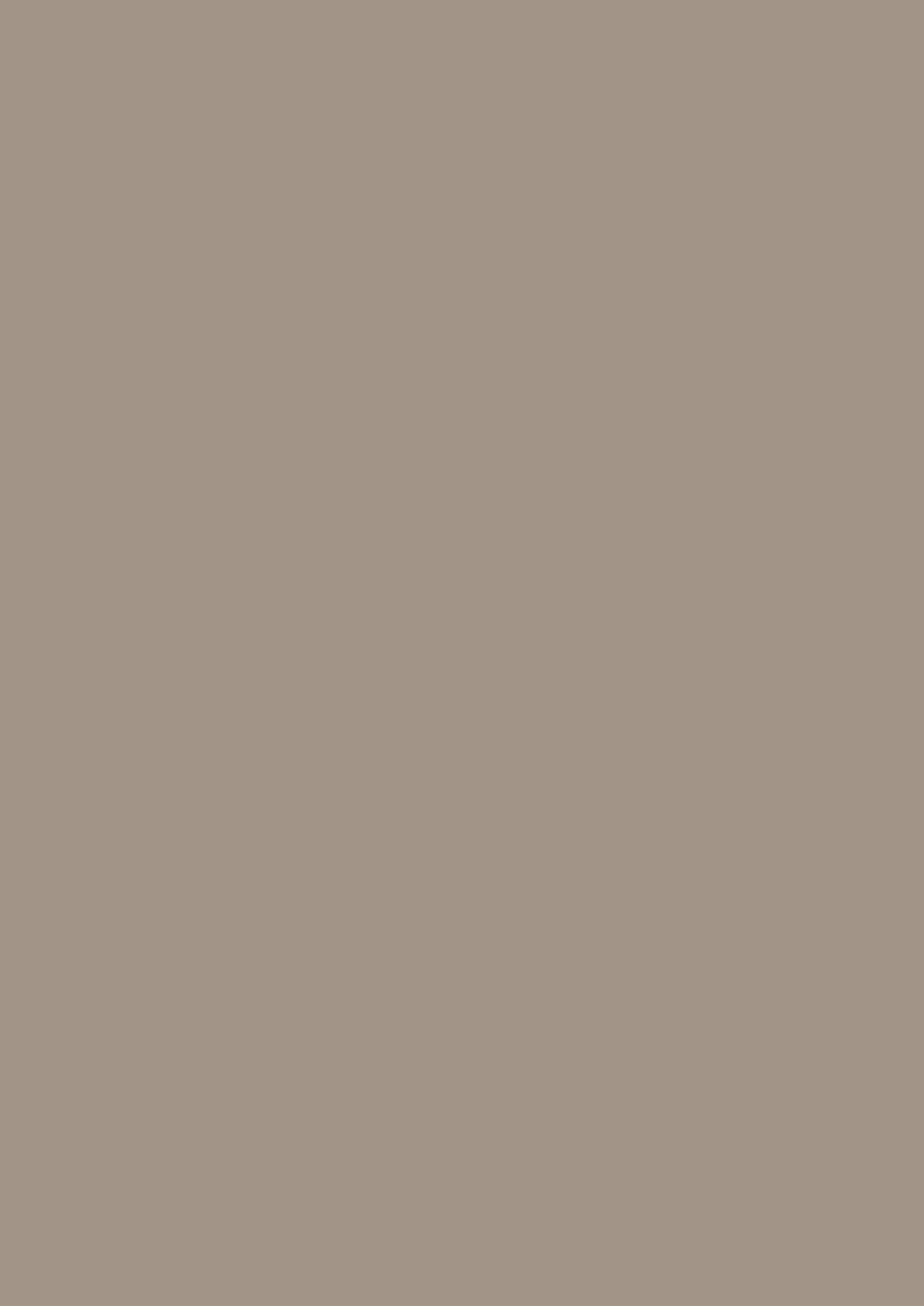 U727 PM Stone Grey