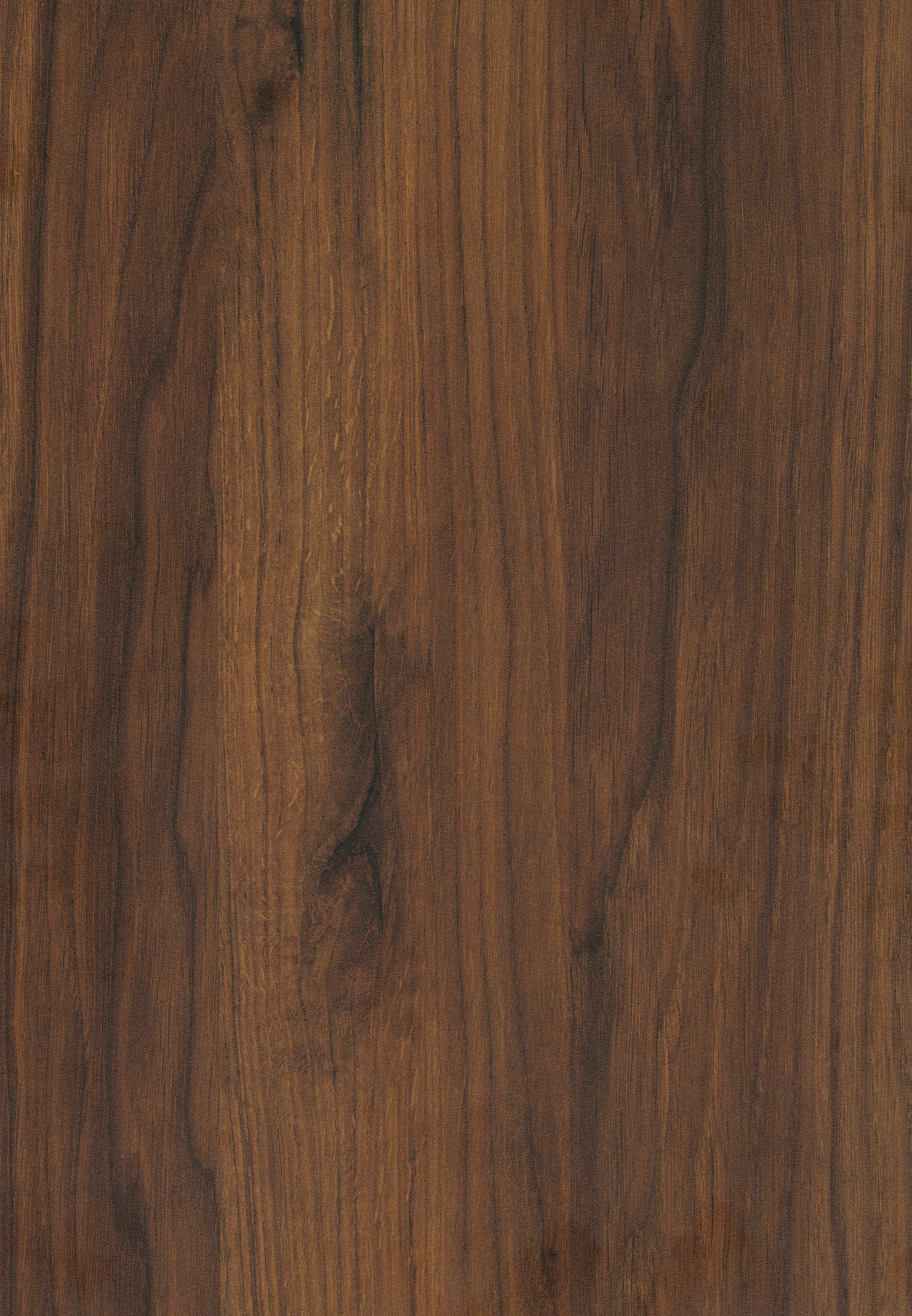 Brown Warmia Walnut