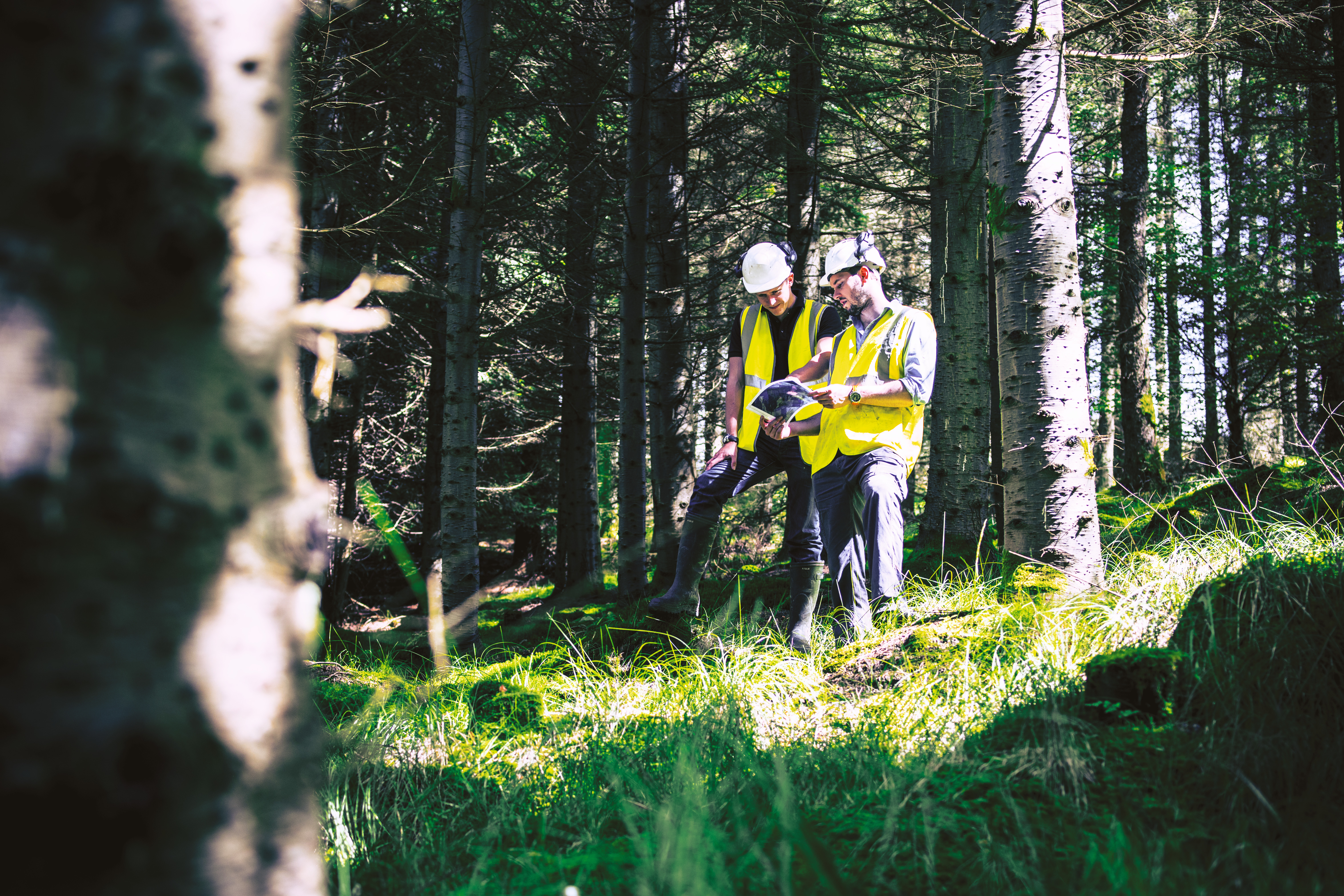 Two people in the forest