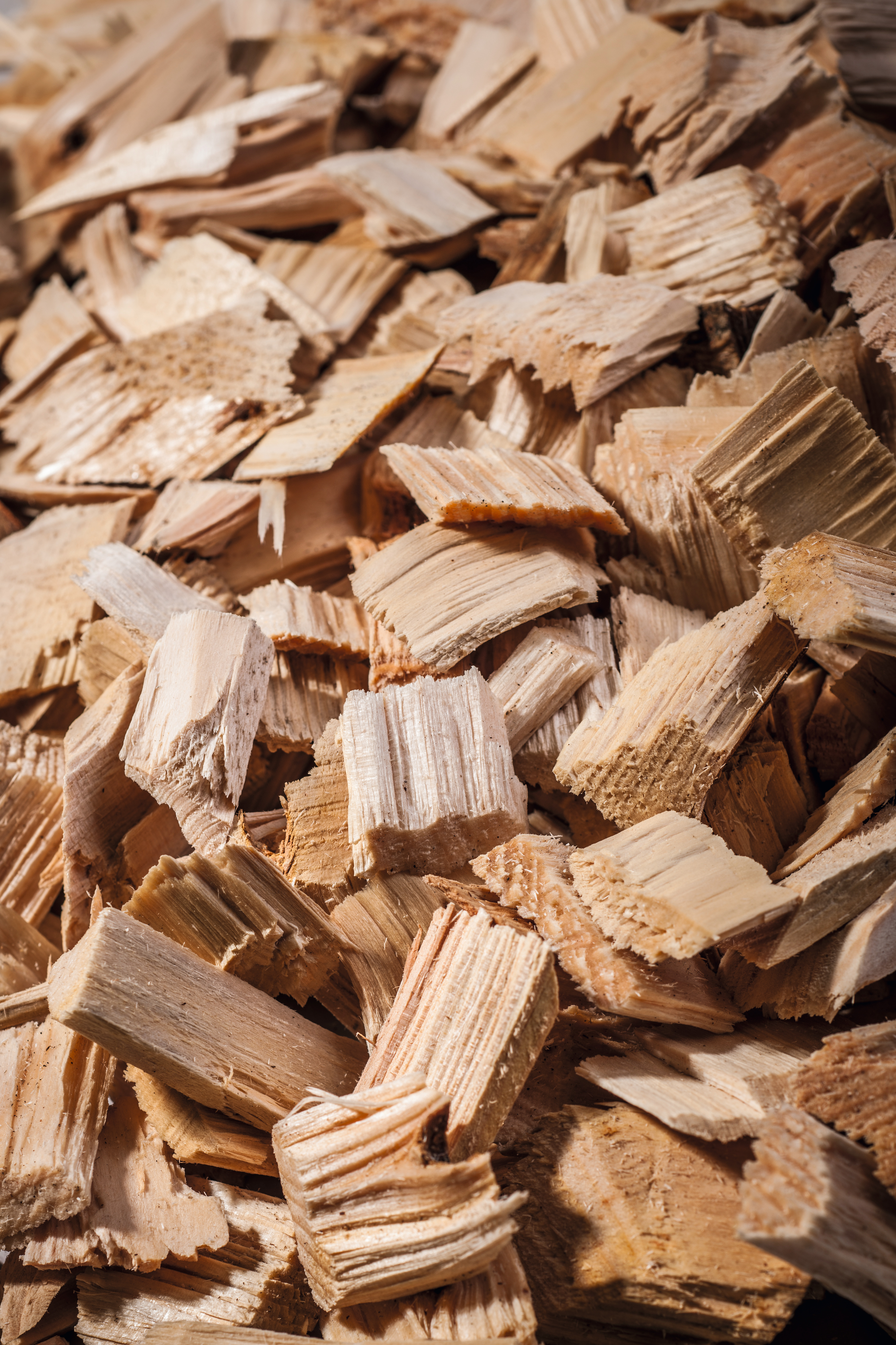 Wood chips