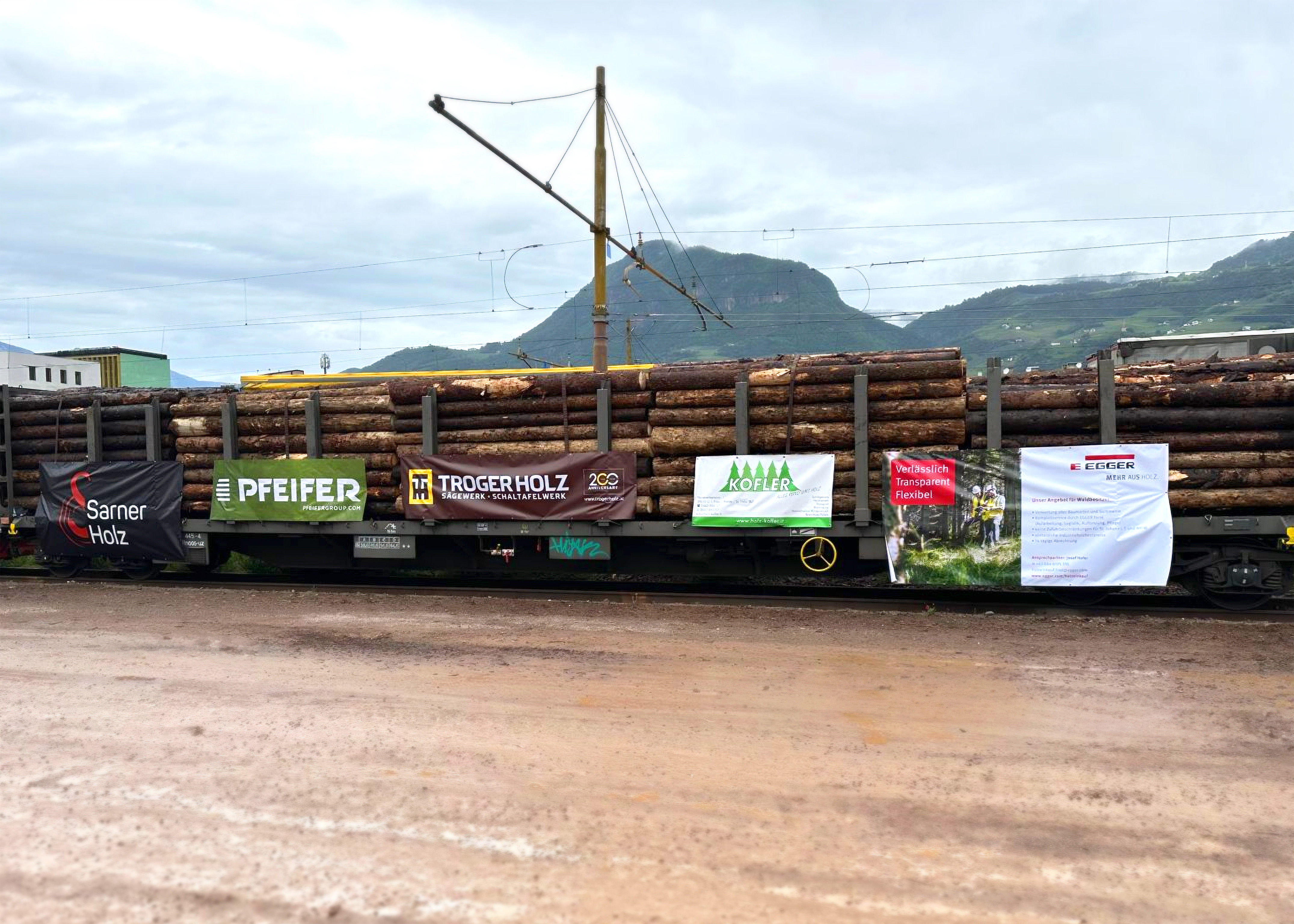 Wagons with tree trunks