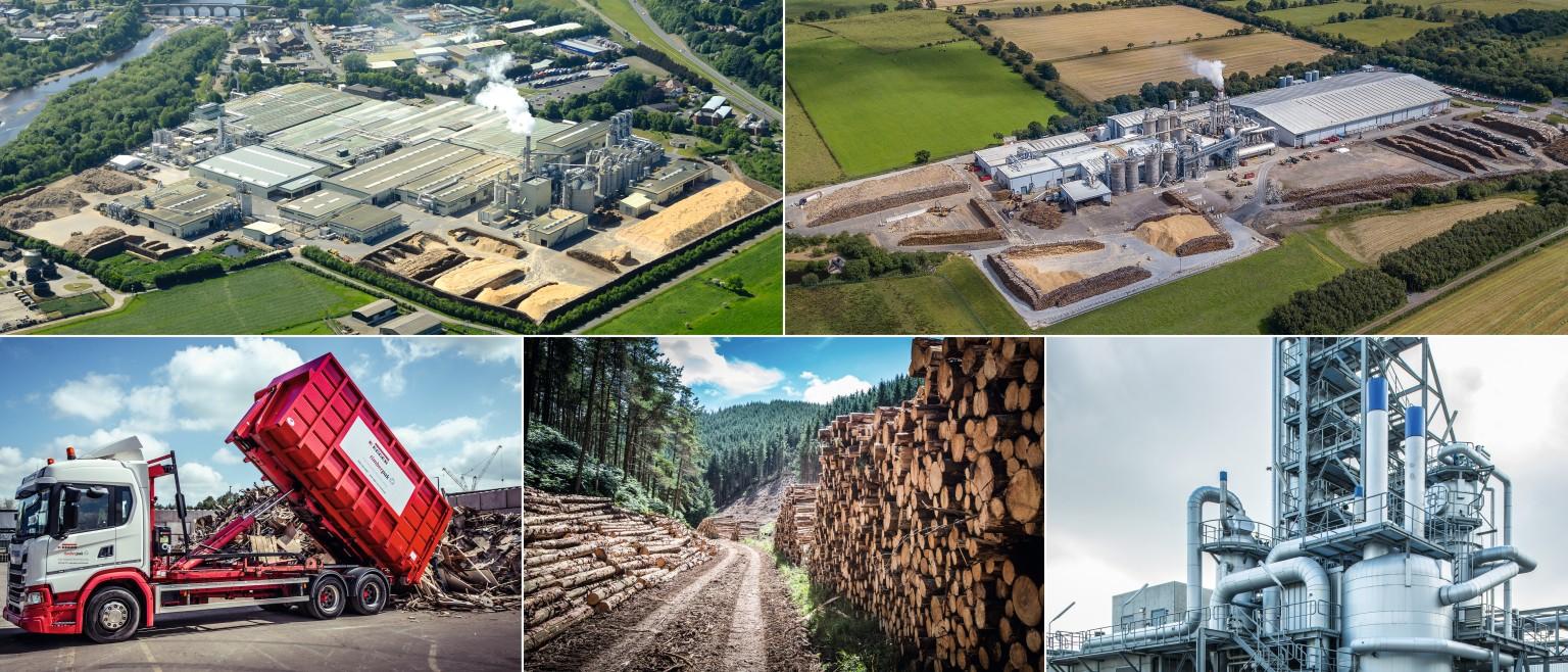 Ecological Cycle: Overview from tree to product