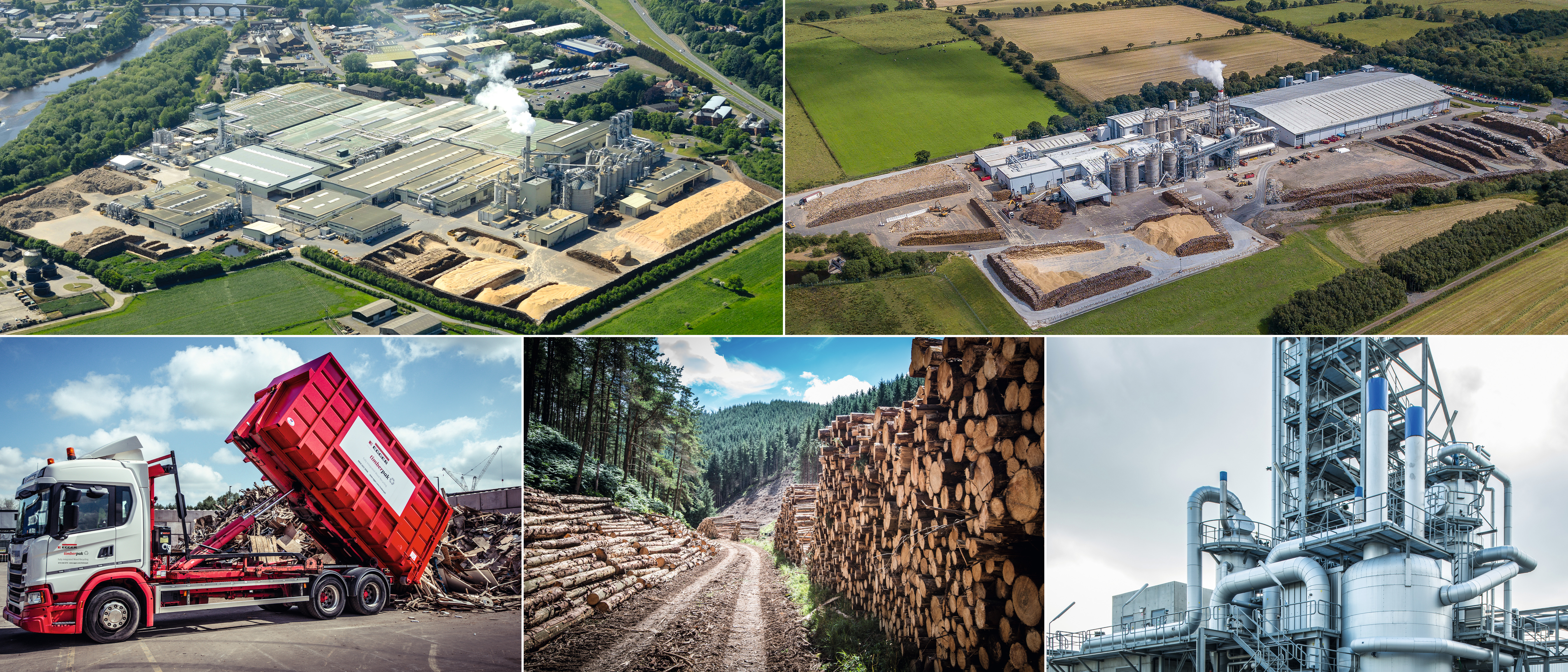 Ecological Cycle: Overview from tree to product