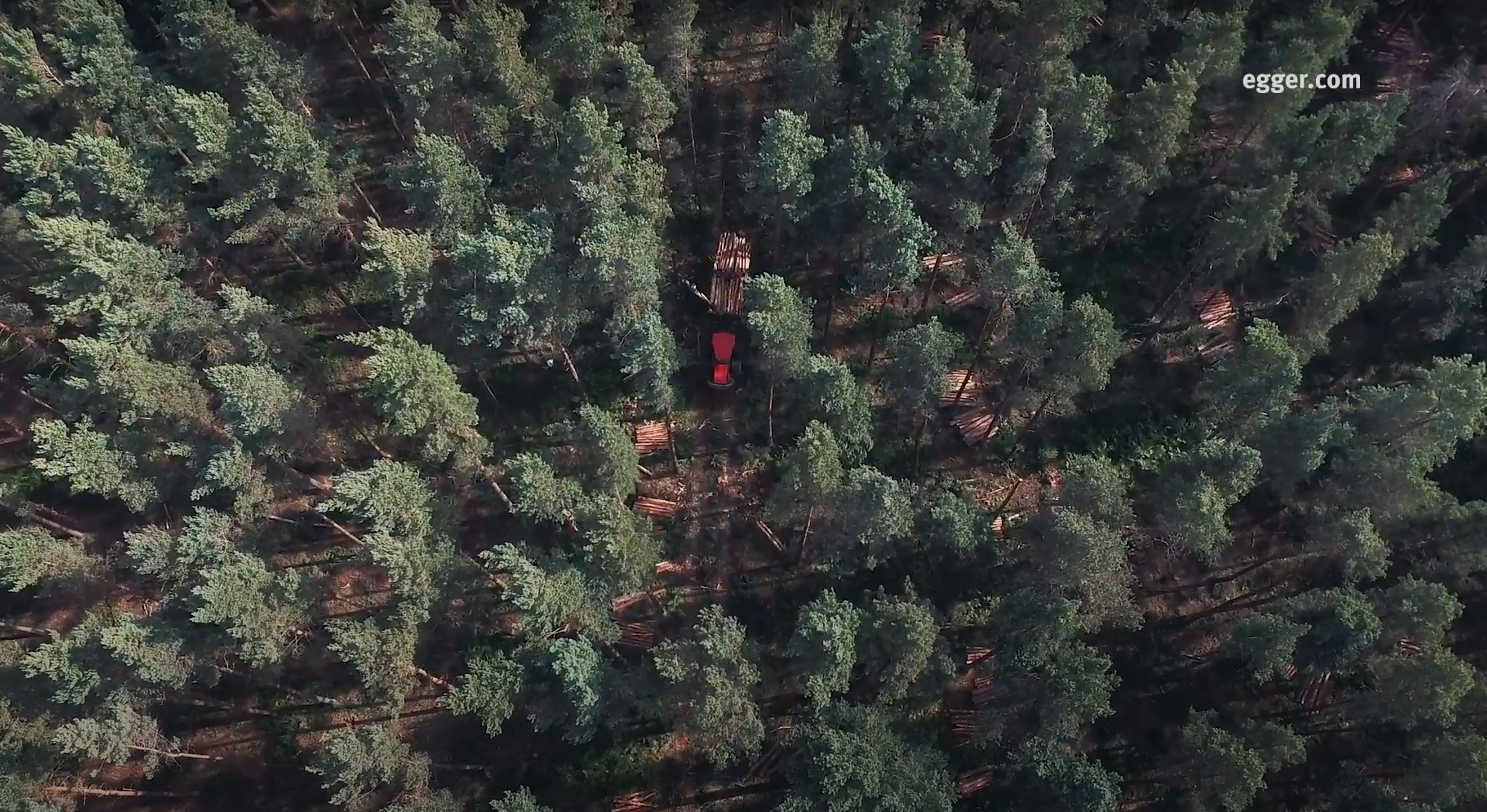 EGGER Timber Harvesting Case Study - Healey Woodland