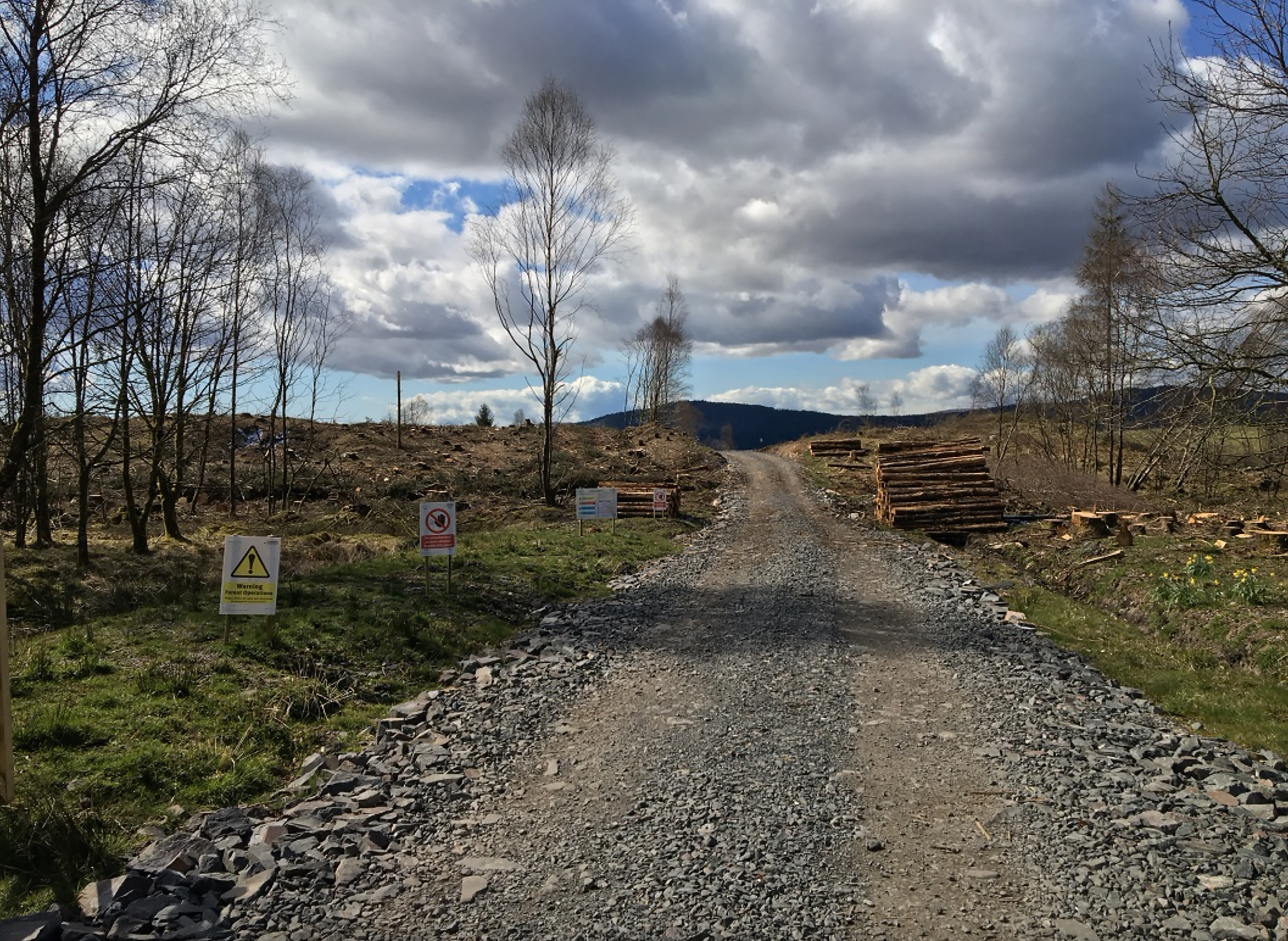 Barnhalloch Moor, Southwest Scotland