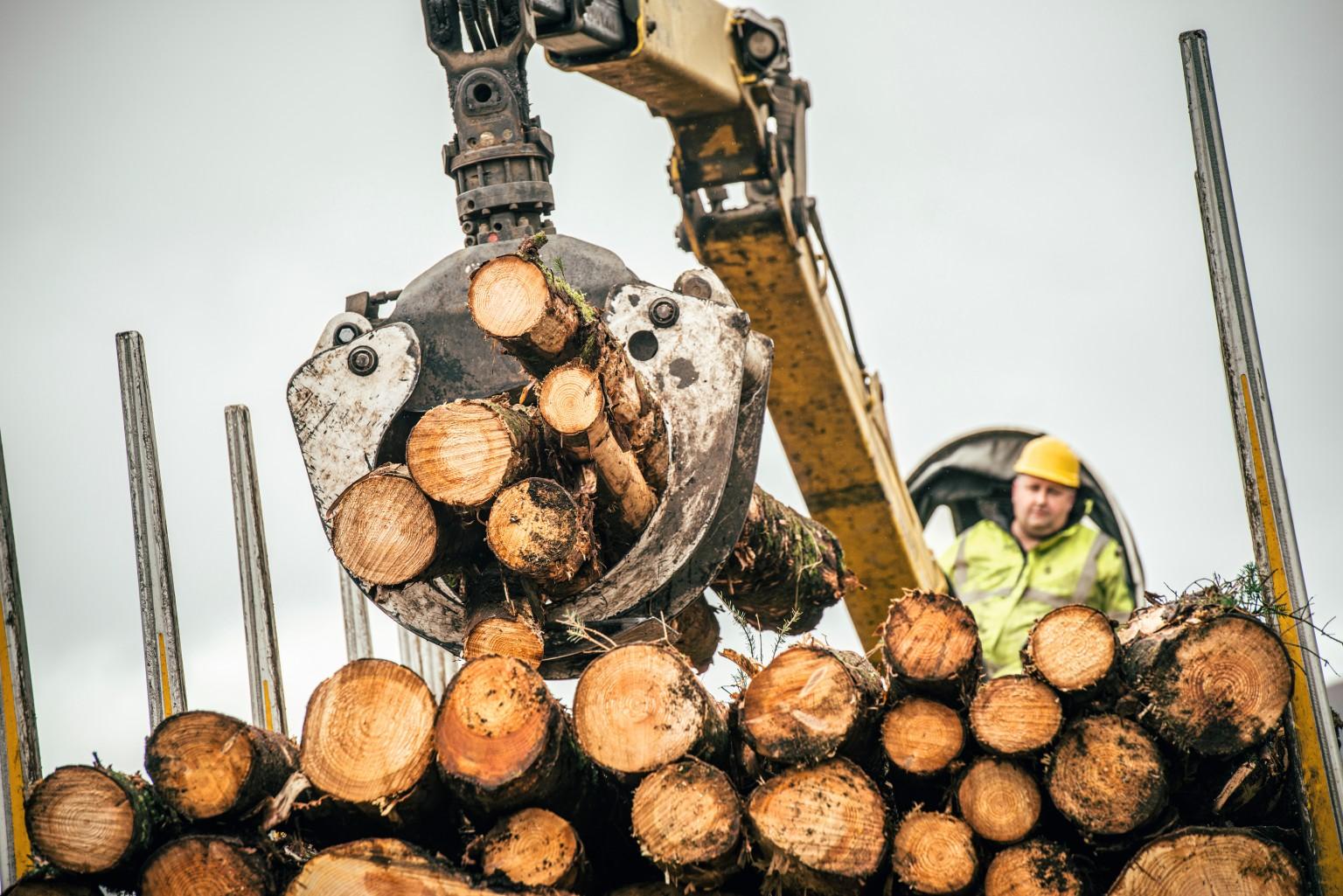 Forestry 