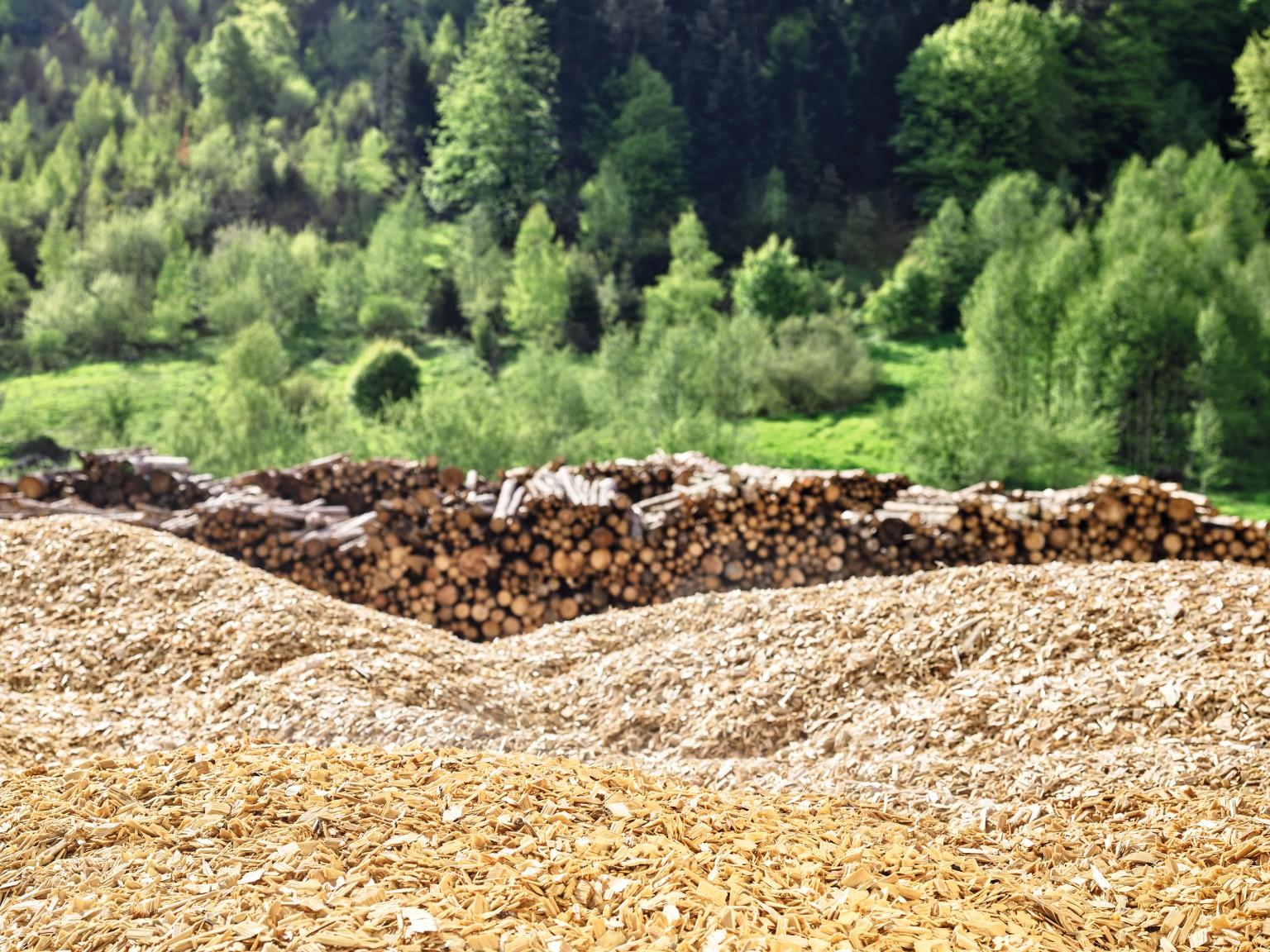 Log yard with hackchips and logs