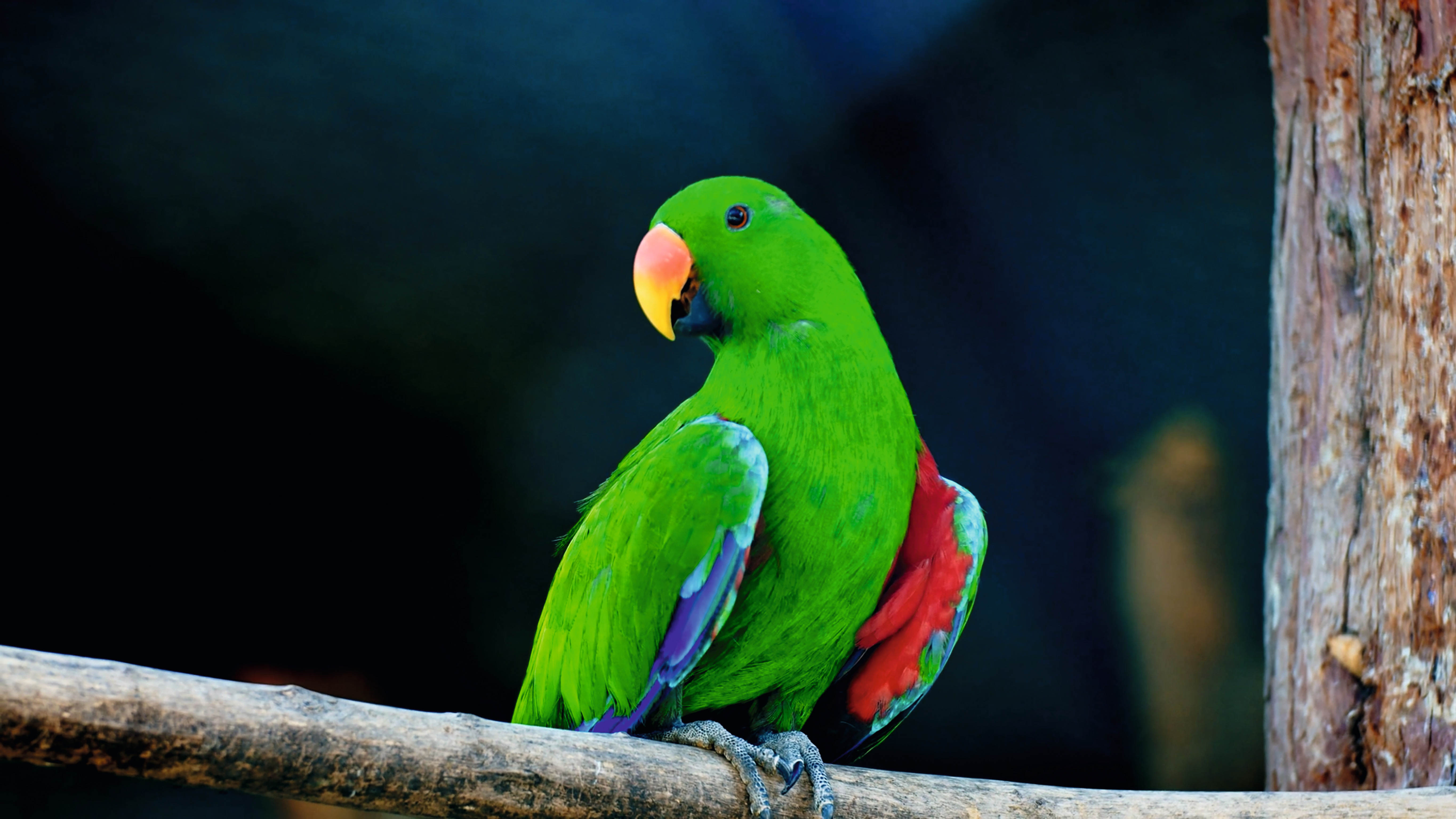 Design in a spectrum of colour.