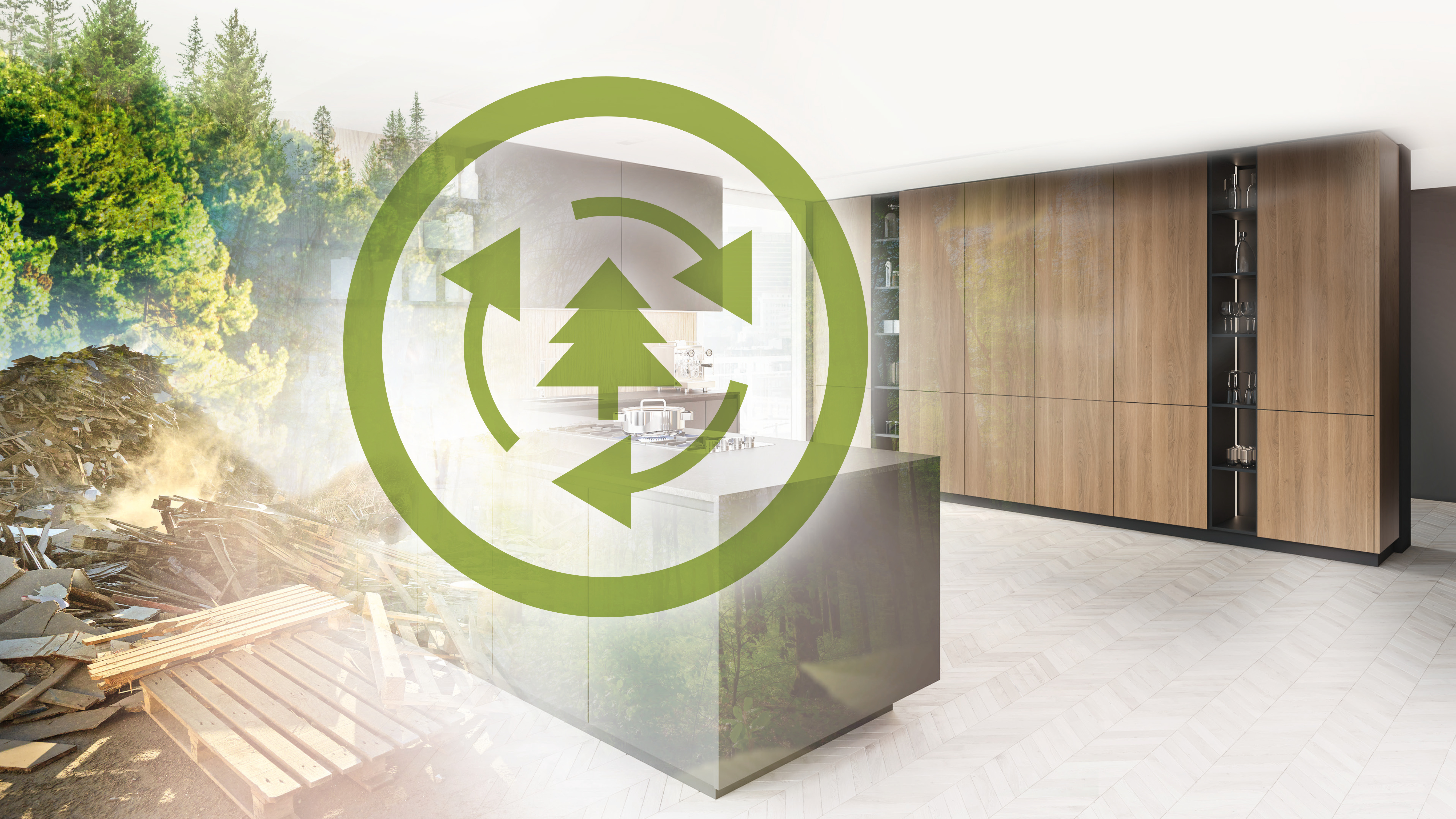 We focus on wood and the circular economy
